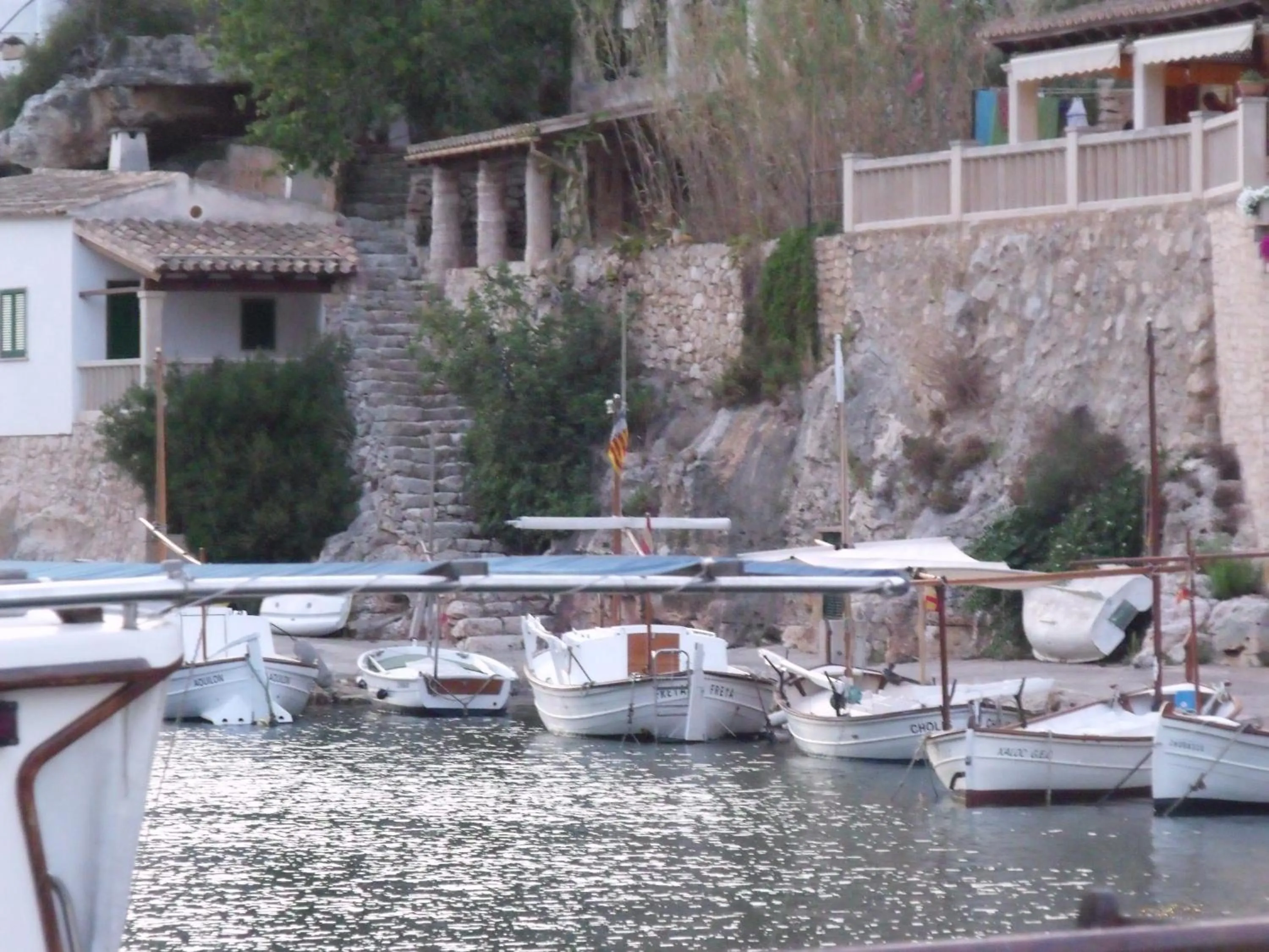 Area and facilities in Hotel Rocamar