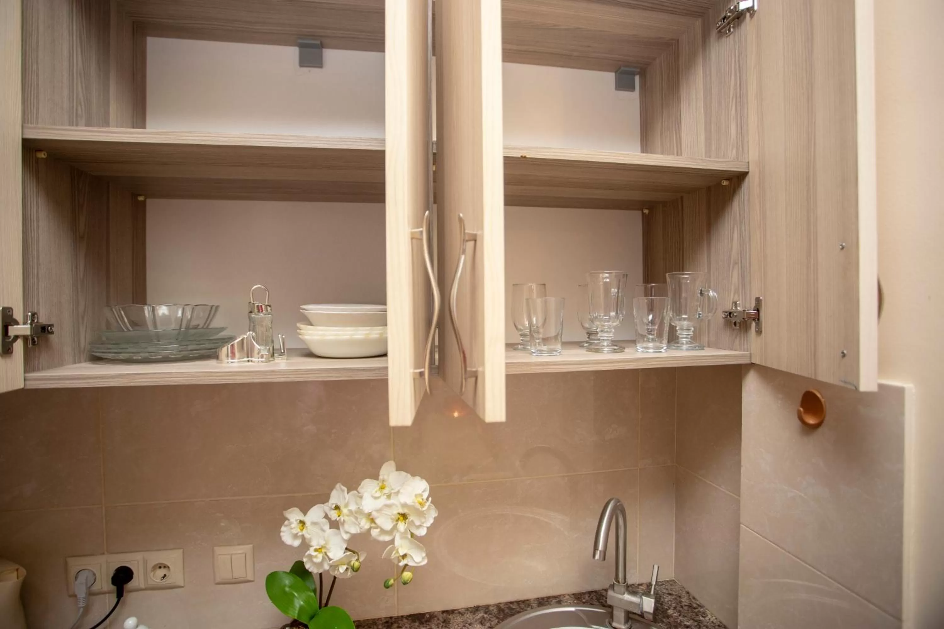 Kitchen or kitchenette in Blue Star Batumi