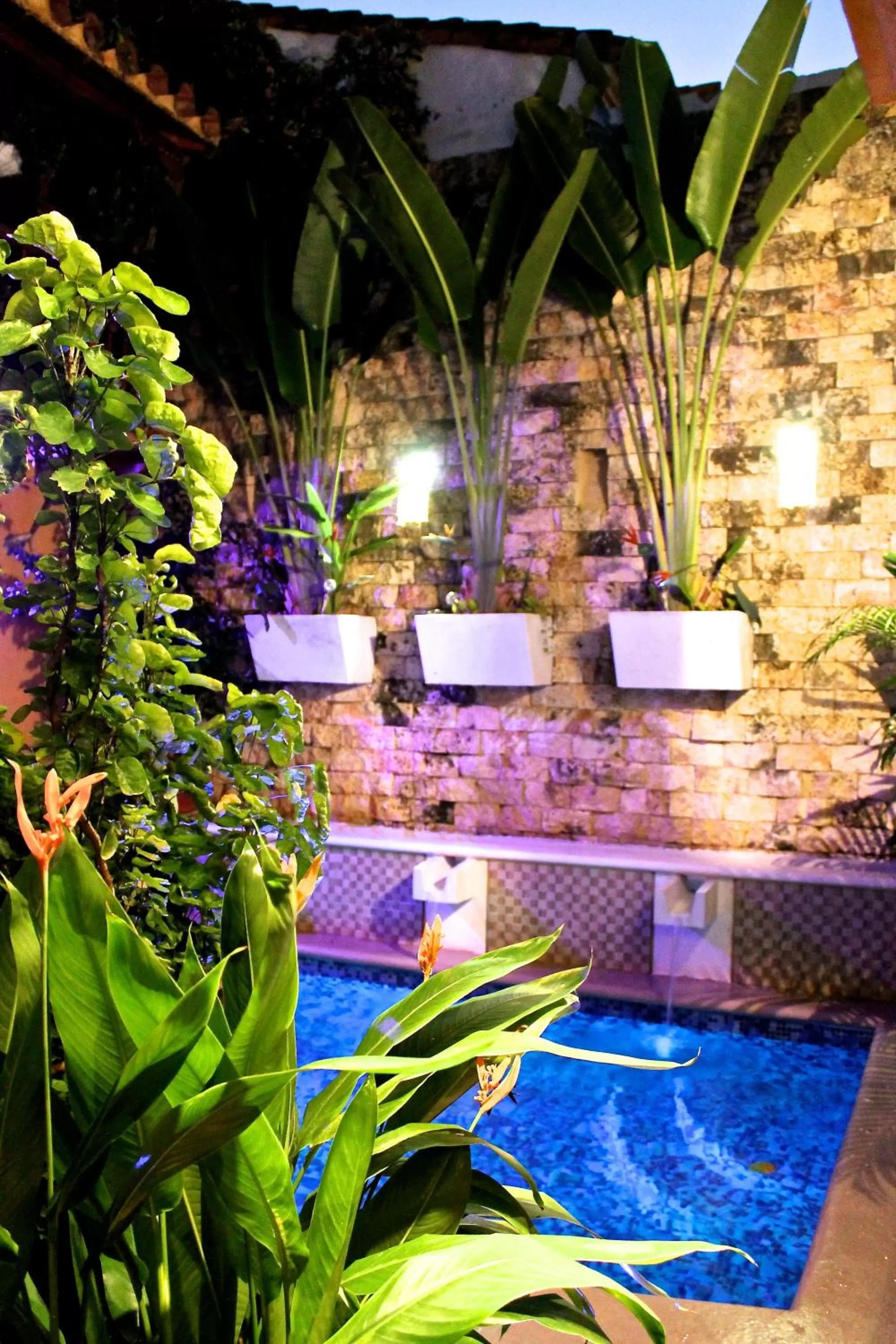 Garden, Swimming Pool in Hotel Casa Gloria Boutique
