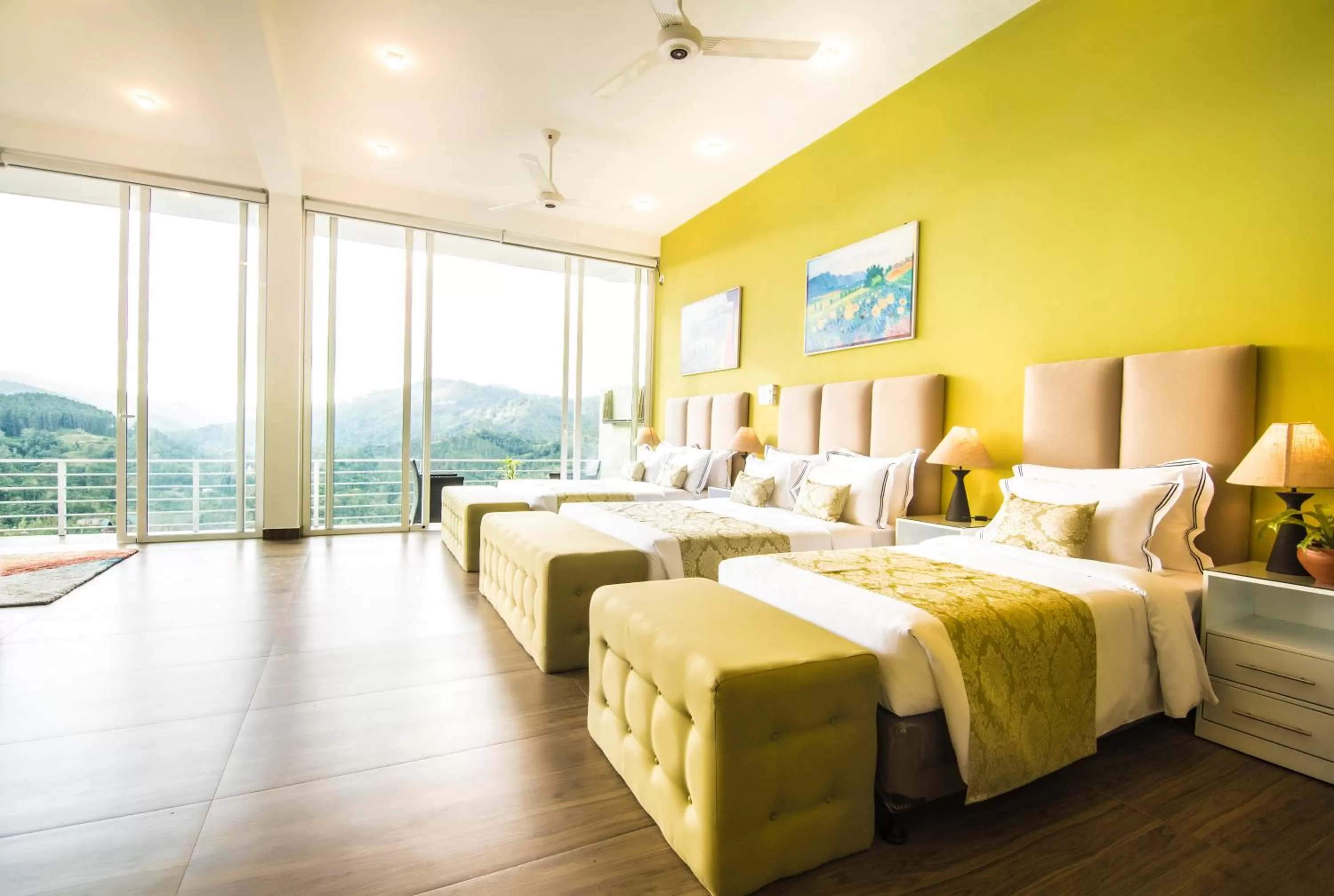 Superior Suite - single occupancy in Tip Top Boutique hotel