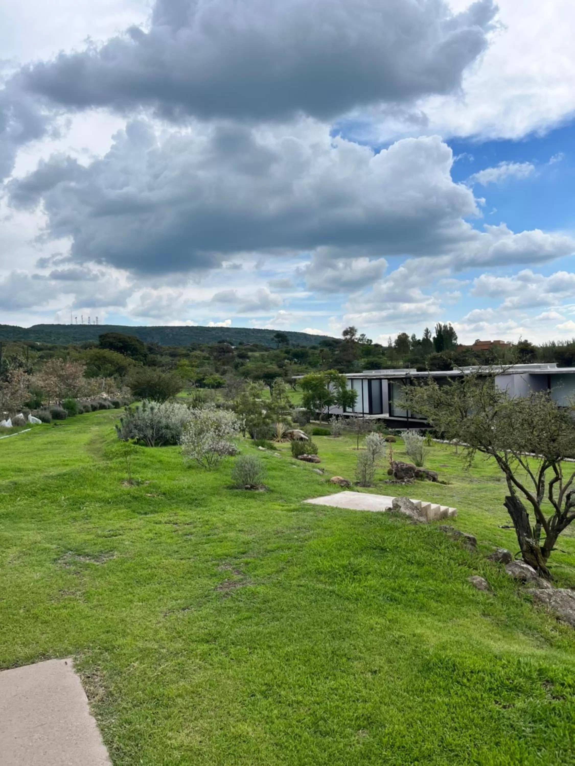 Garden in Casa Terra SMA