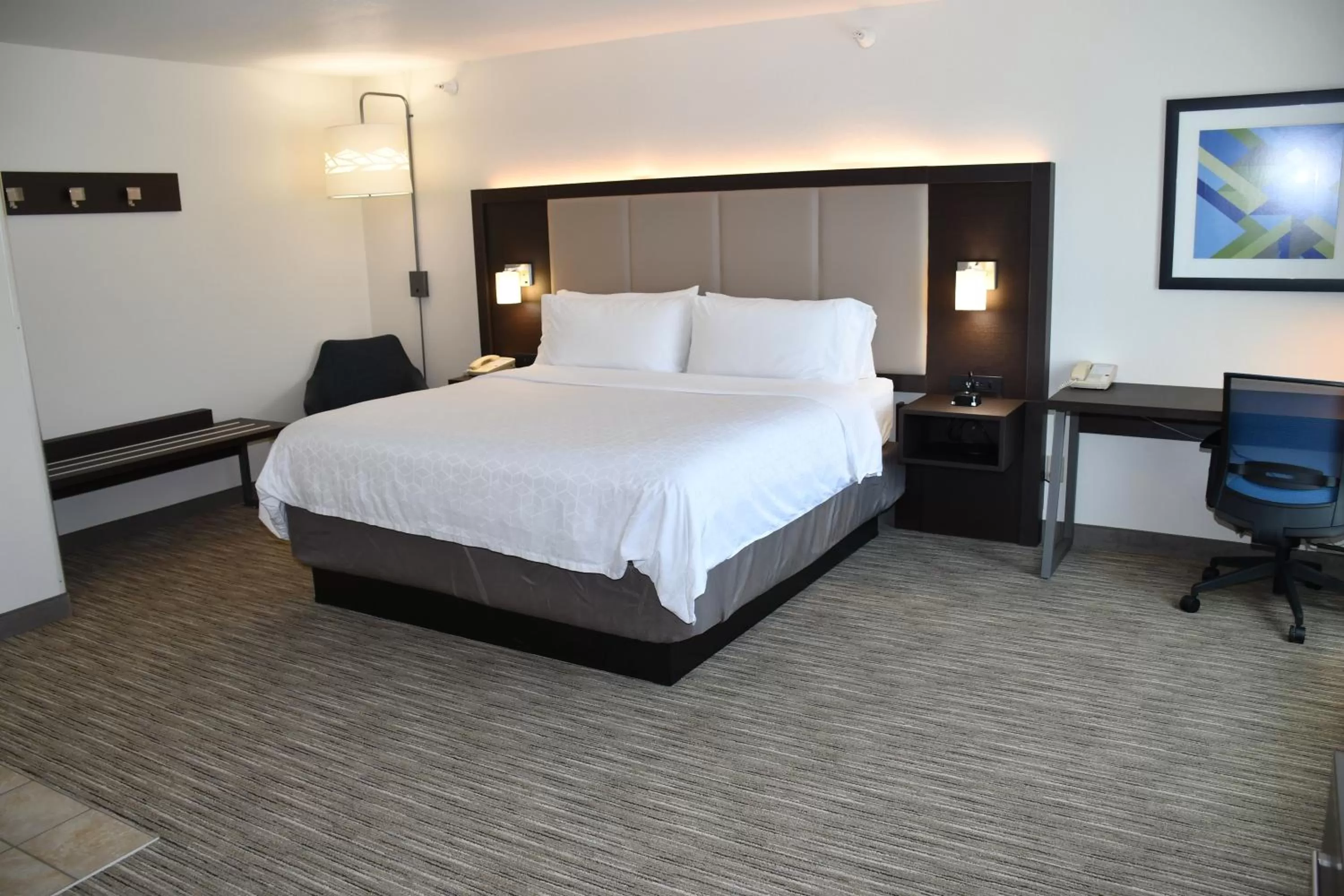 Executive King Room - Non-Smoking in Holiday Inn Express Hotel & Suites Evanston, an IHG Hotel