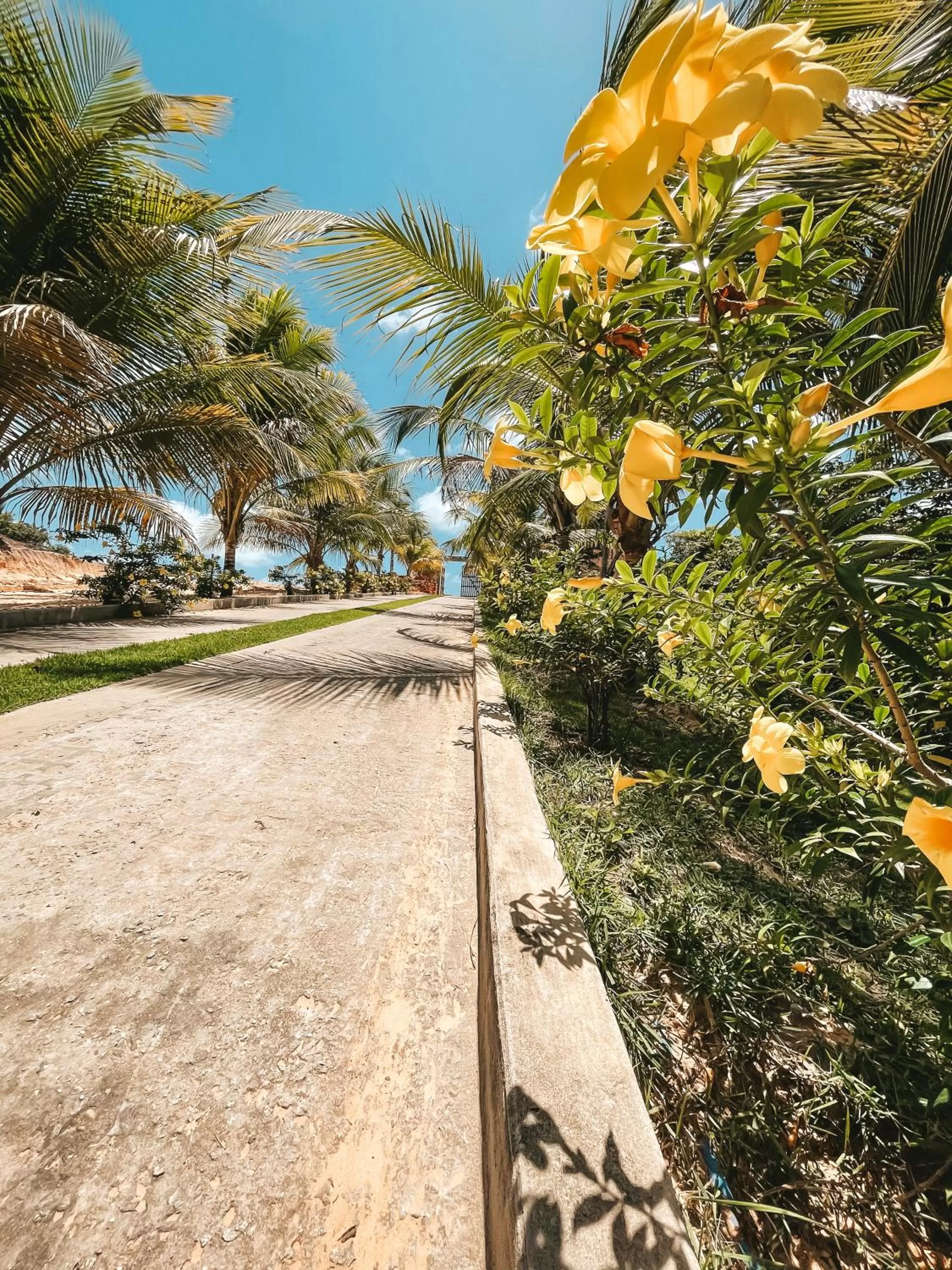 Natural landscape in Pousada Vasto Horizonte