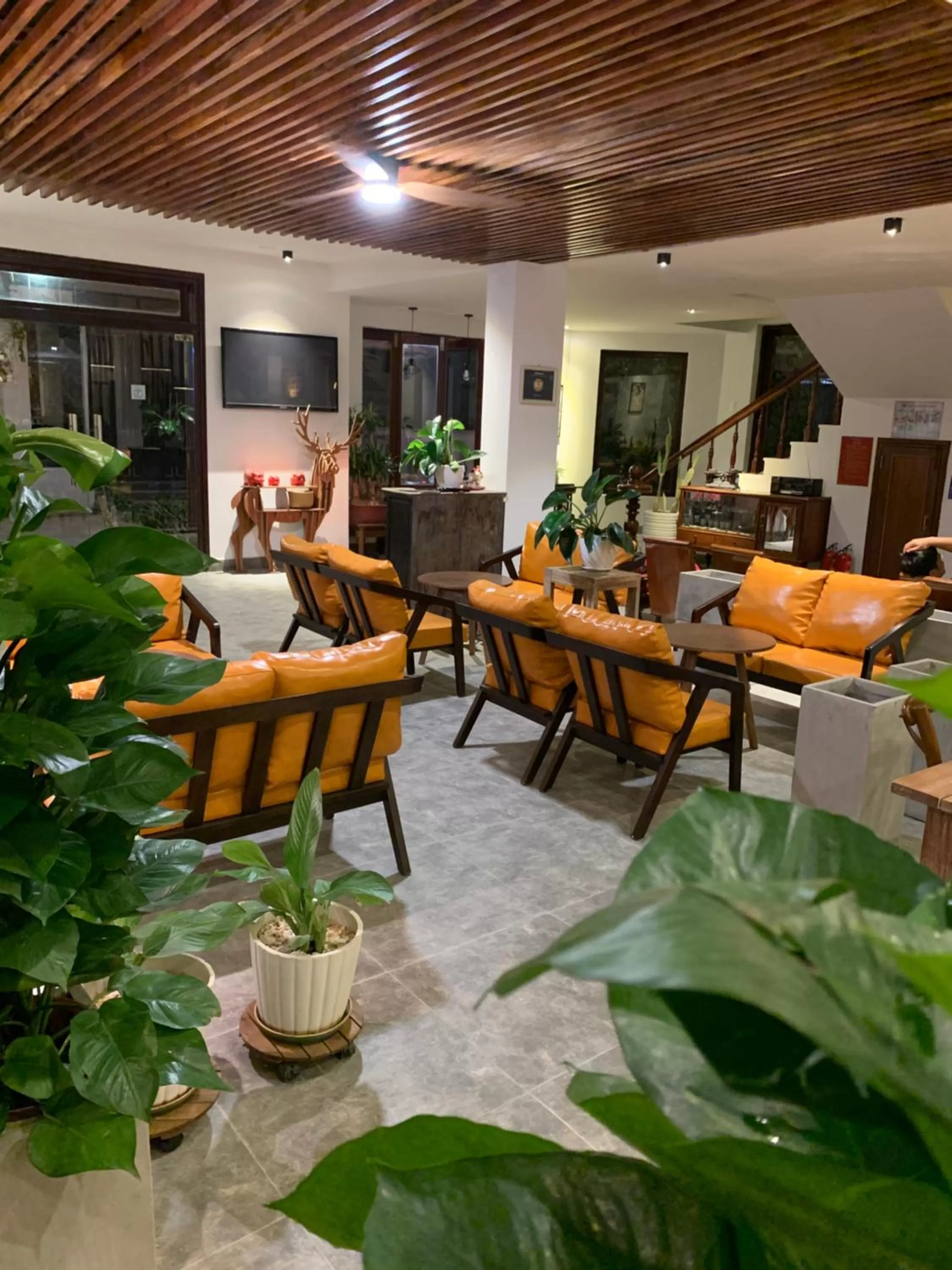 Communal lounge/ TV room in Kool House