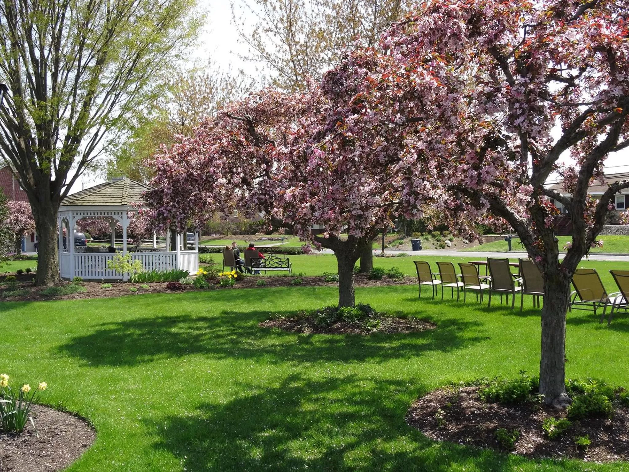 Street view in Travelers Rest Motel