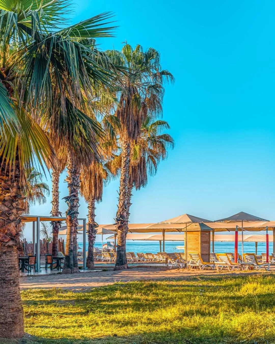 Beach in Asteria Collection Side