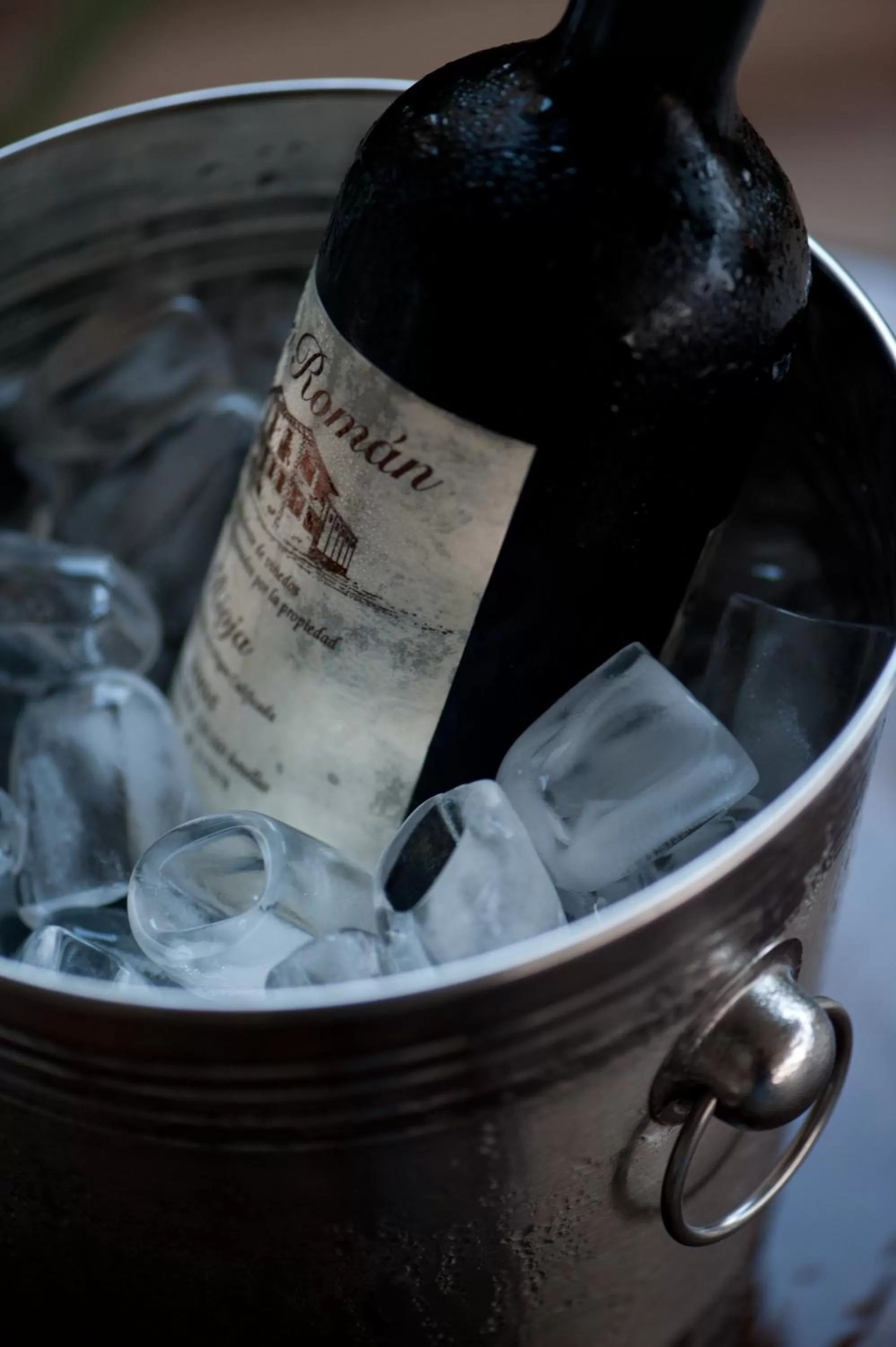 Drinks in Hotel Sequóia Alphaville