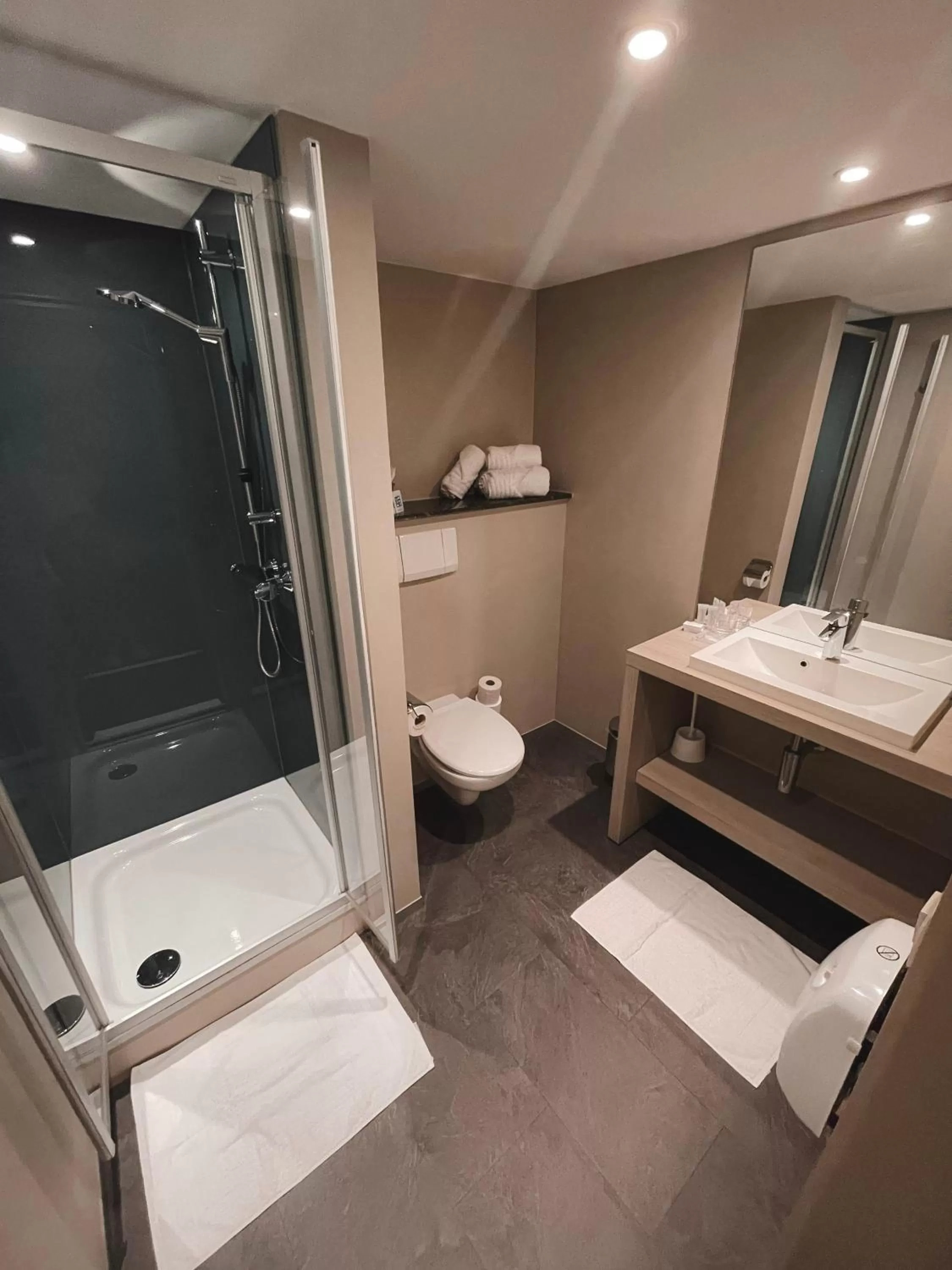 Shower, Bathroom in Hotel La Pomme d'Or