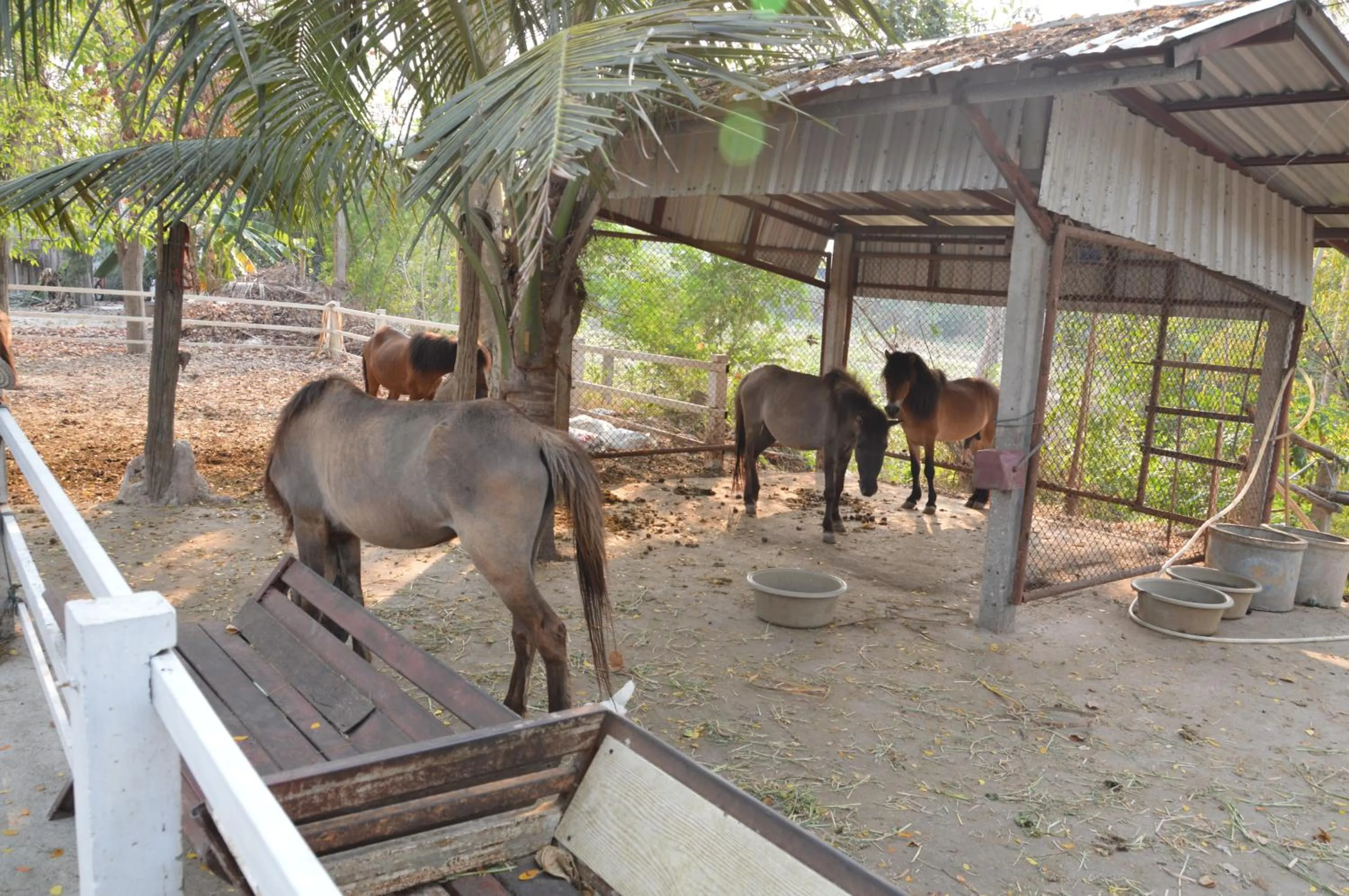 Scenic Riverside Resort