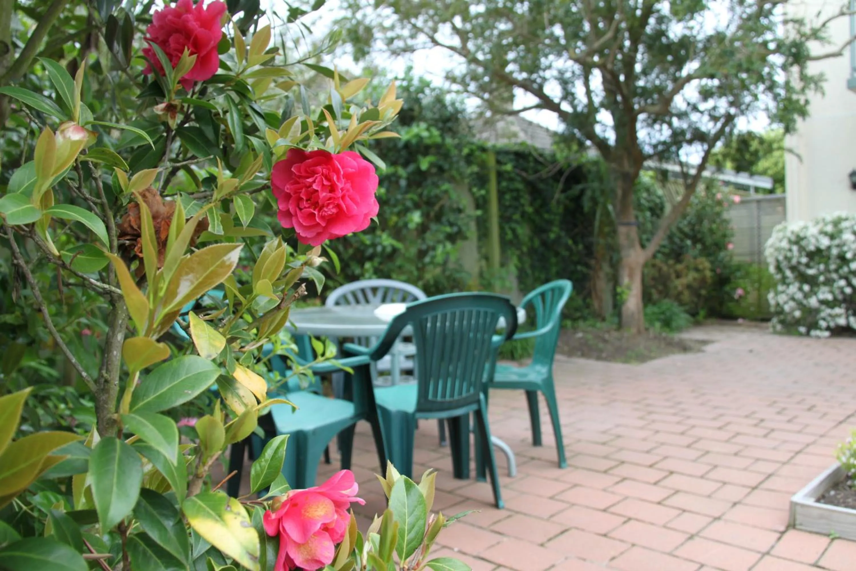 Garden in Alcala Motor Lodge