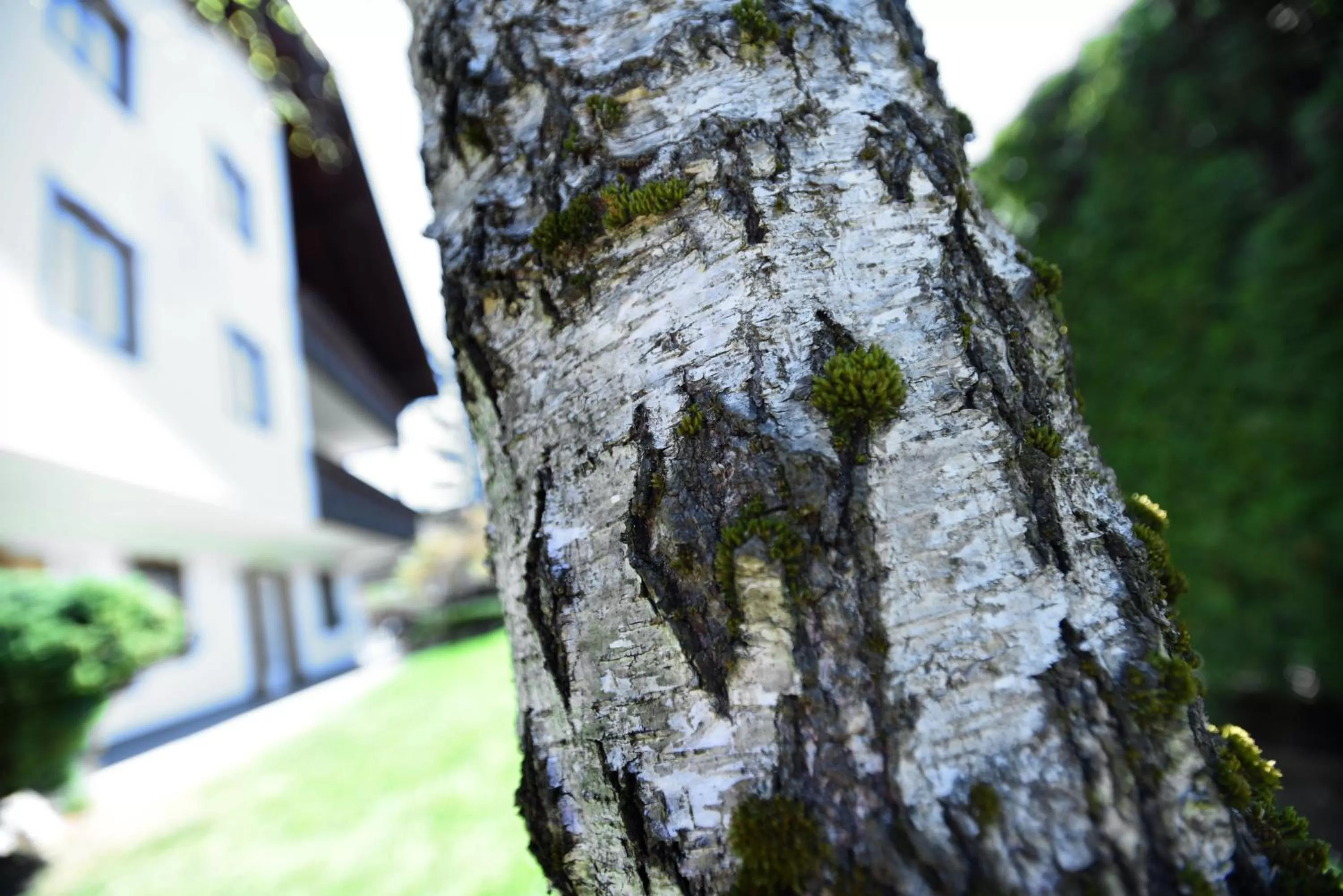 Property building in B&B Magiré