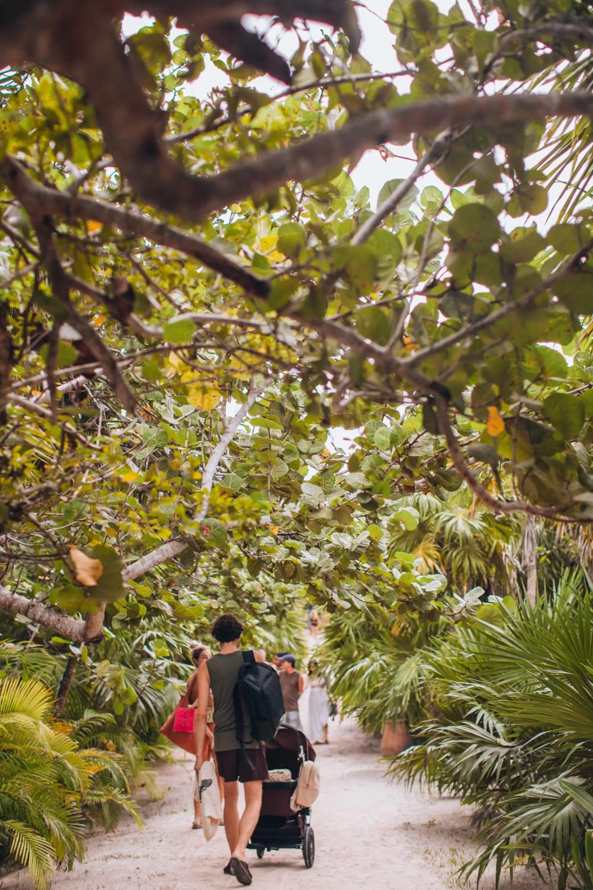 Garden in Ikal Tulum Hotel