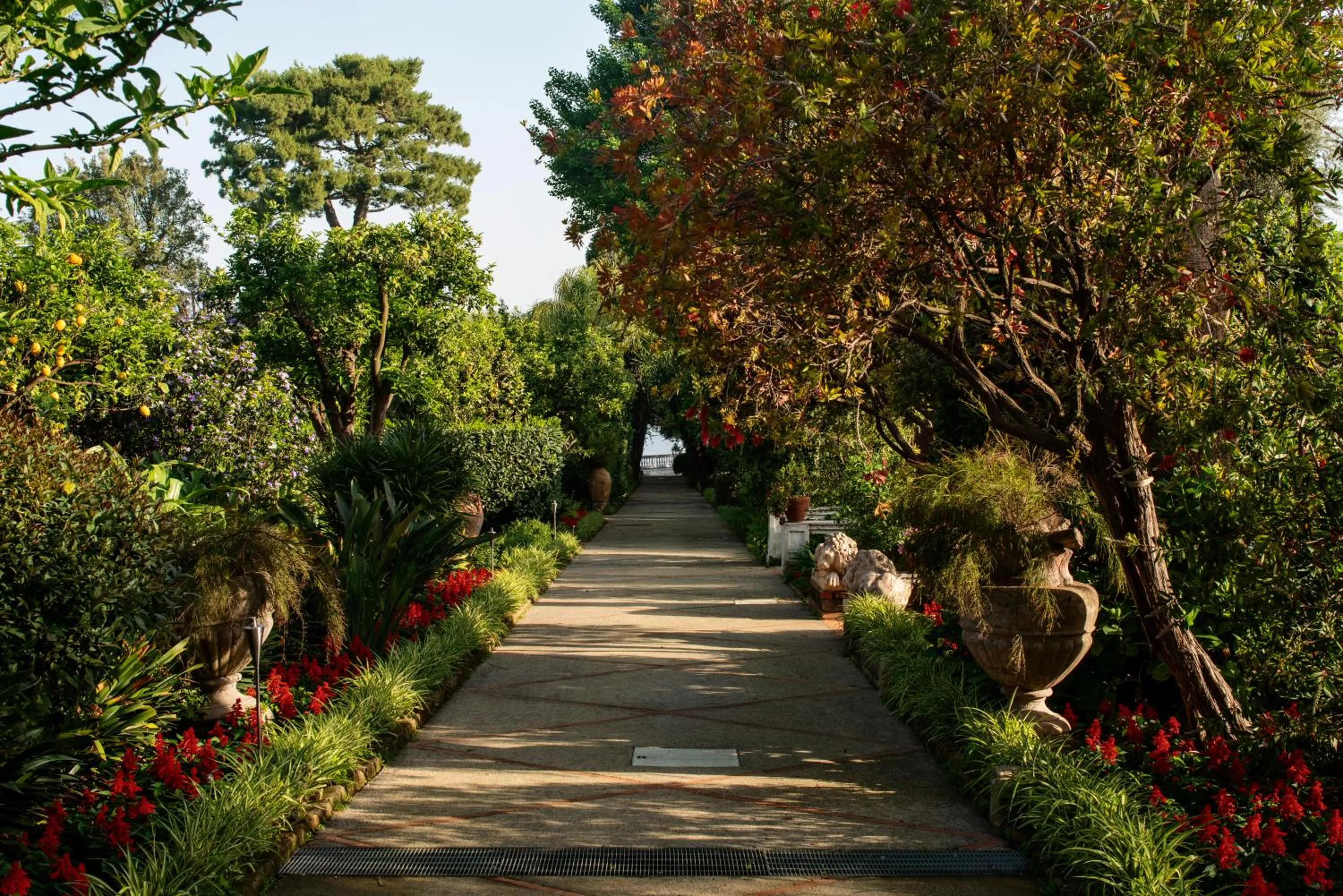 Garden in Grand Hotel Cocumella
