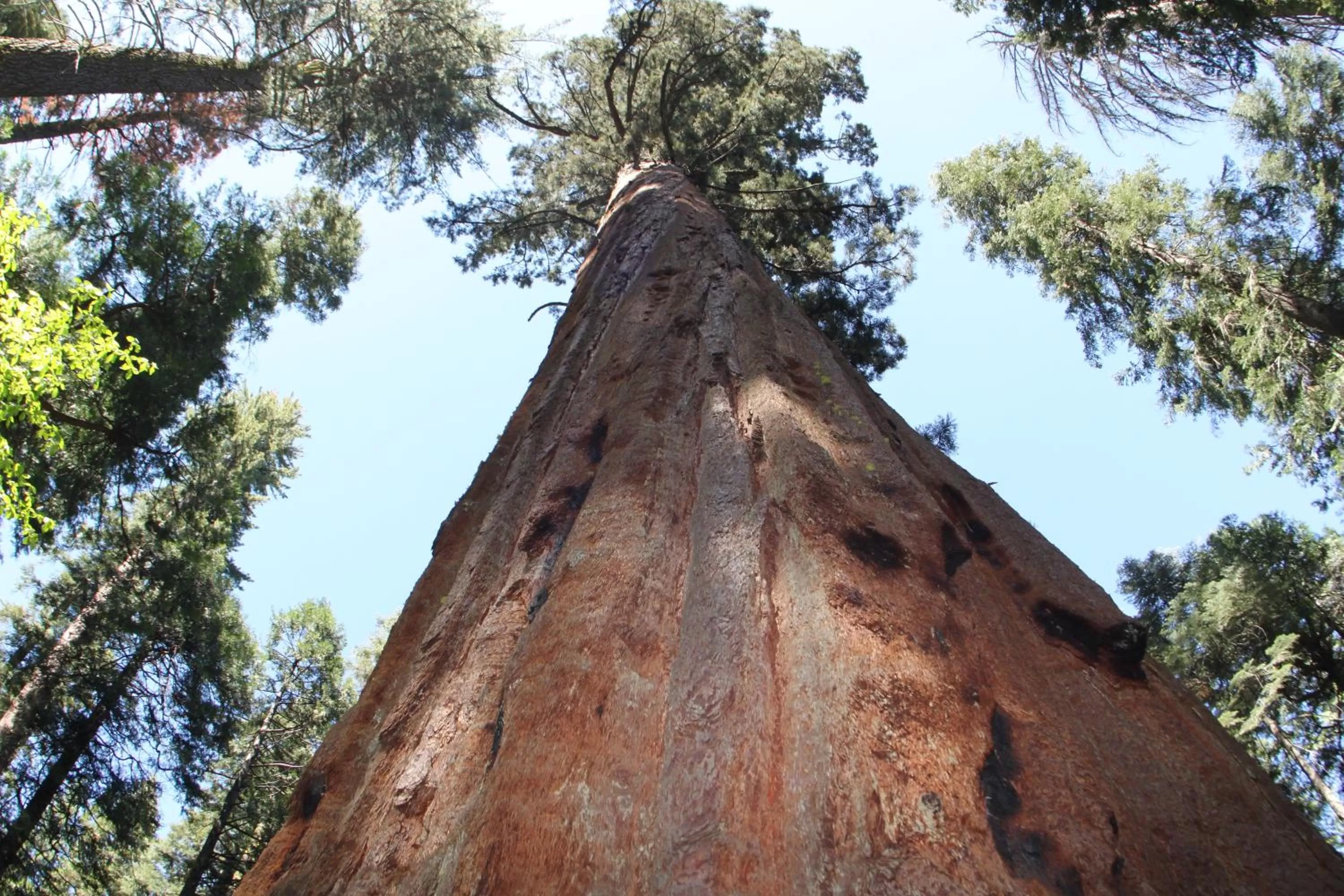 Off site in The Pines Resort & Conference Center