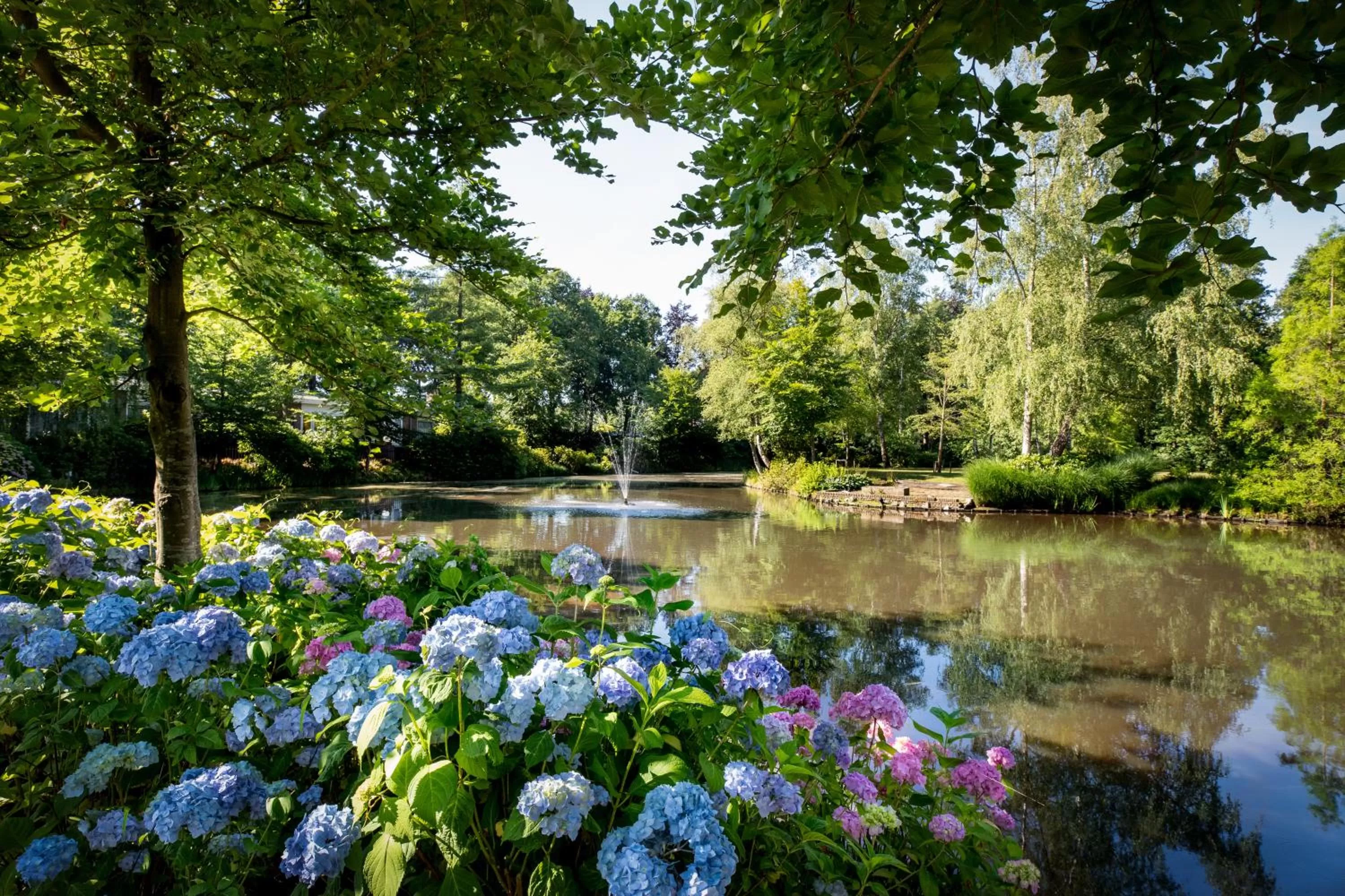 Garden in Landgoed de Rosep