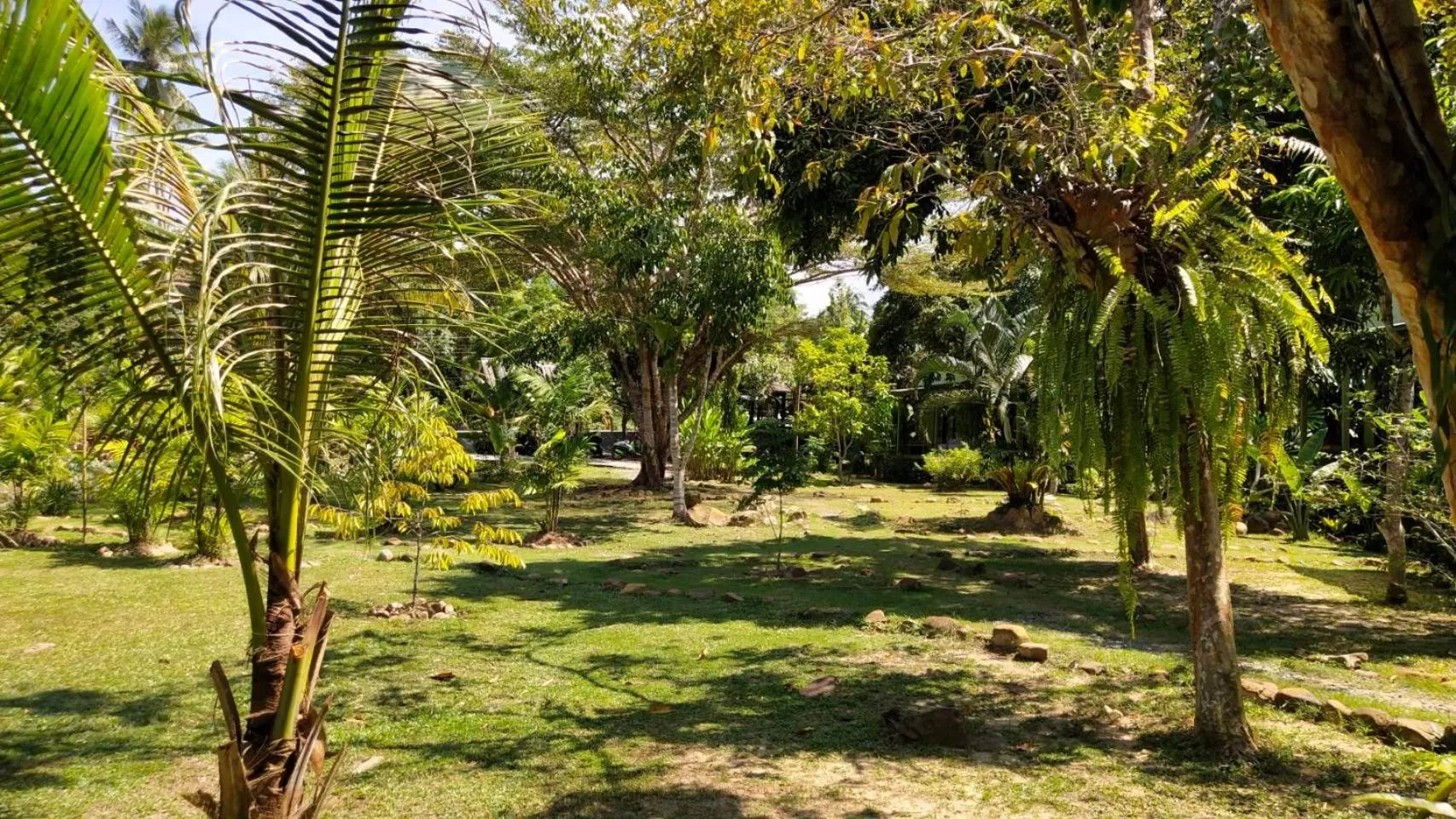 Natural landscape, Garden in Baan Bua Cottage SHA EXTRA PLUS B5510