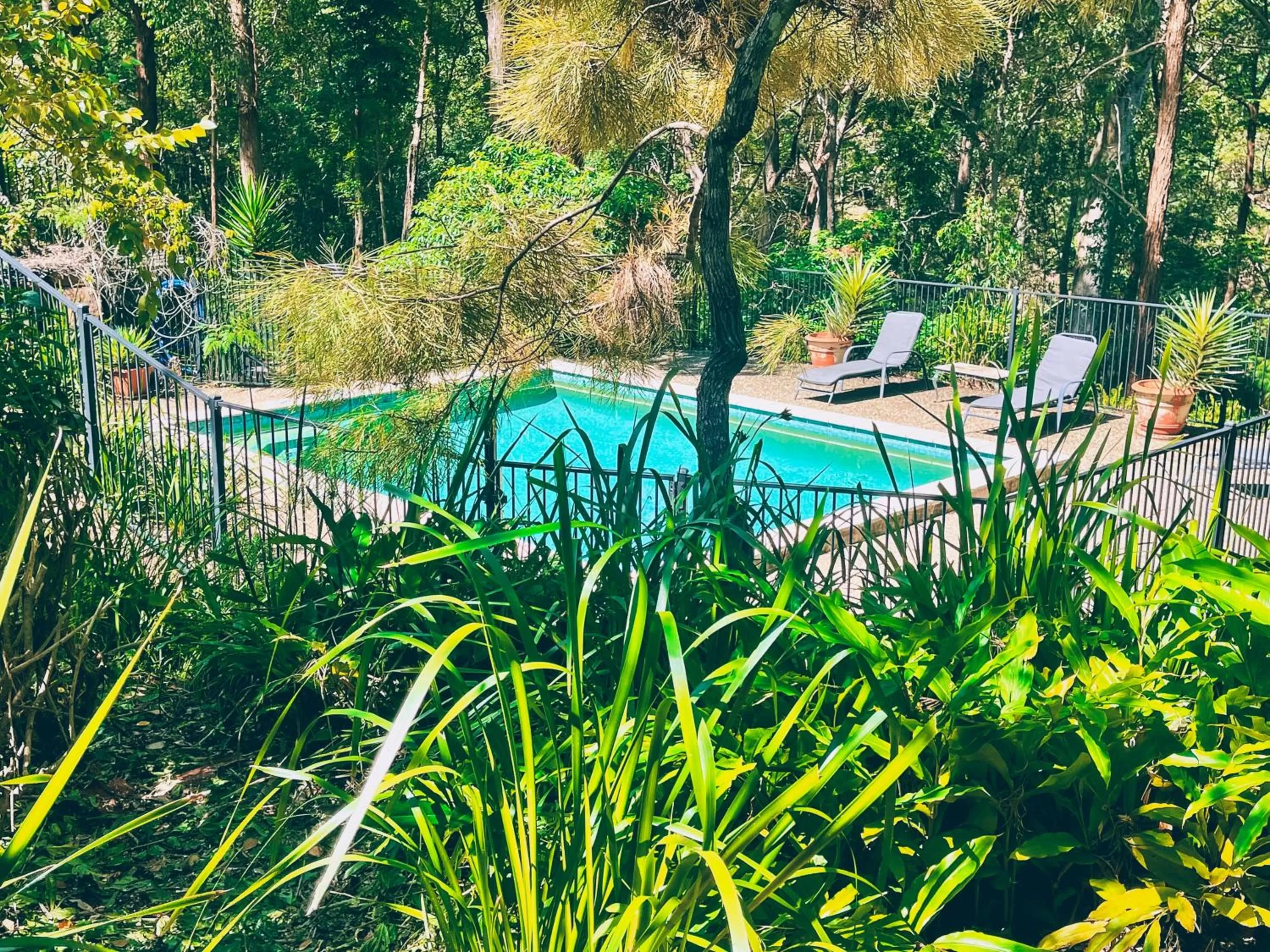 Swimming pool in Wallaby Ridge Retreat