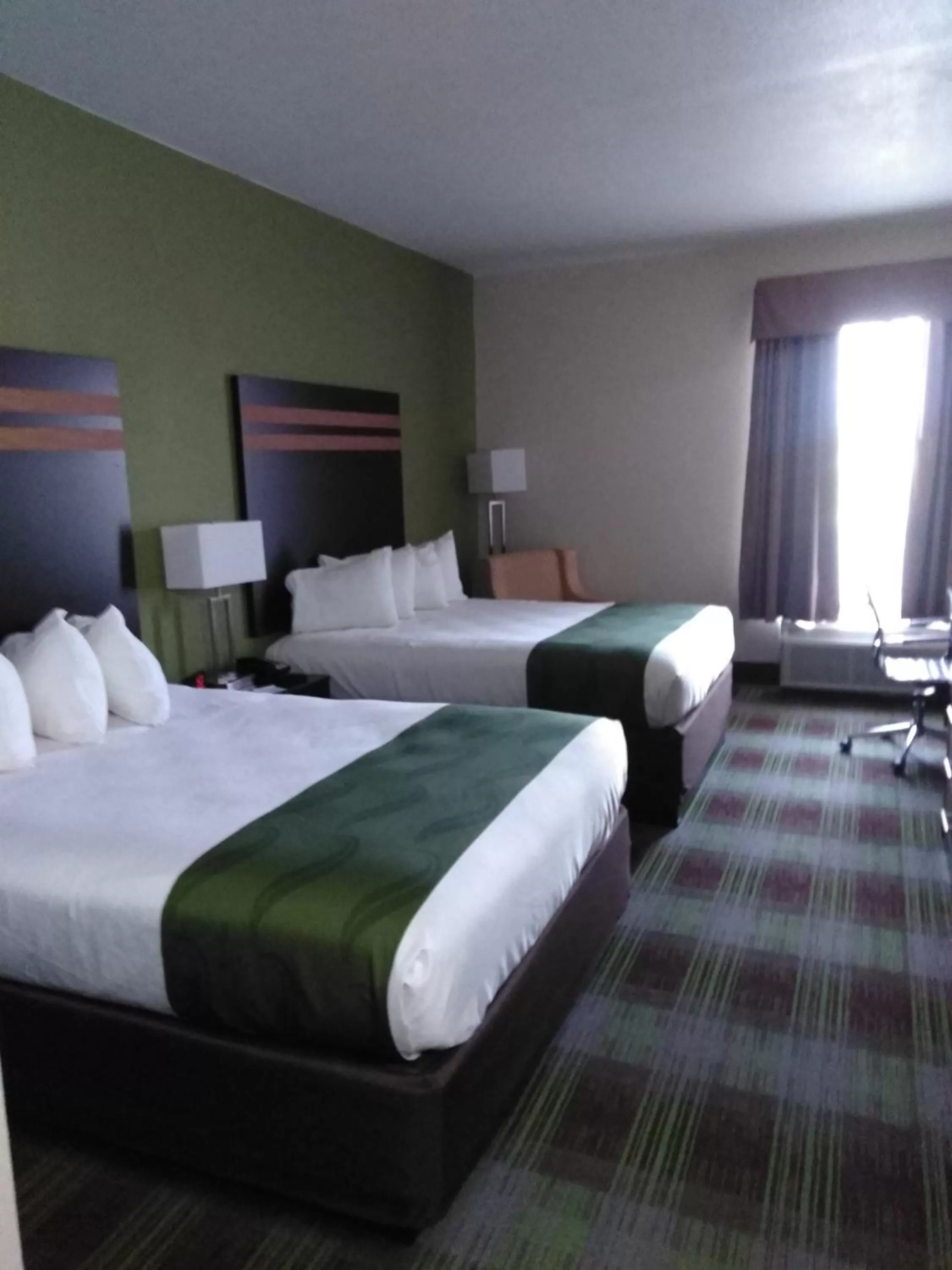 Photo of the whole room, Bed in Quality Inn & Suites Mount Vernon