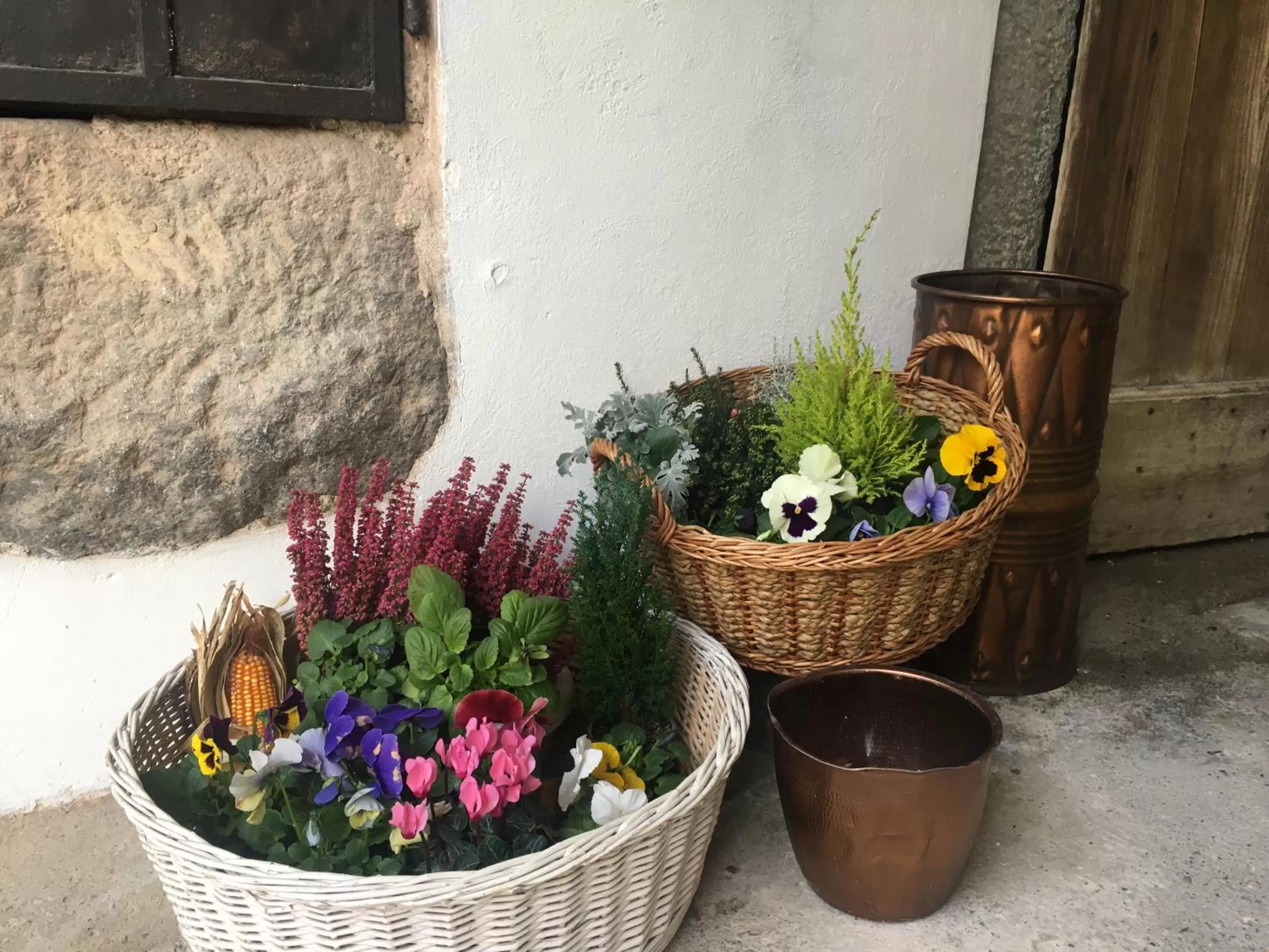 Garden in B&B La Corte del Segrino