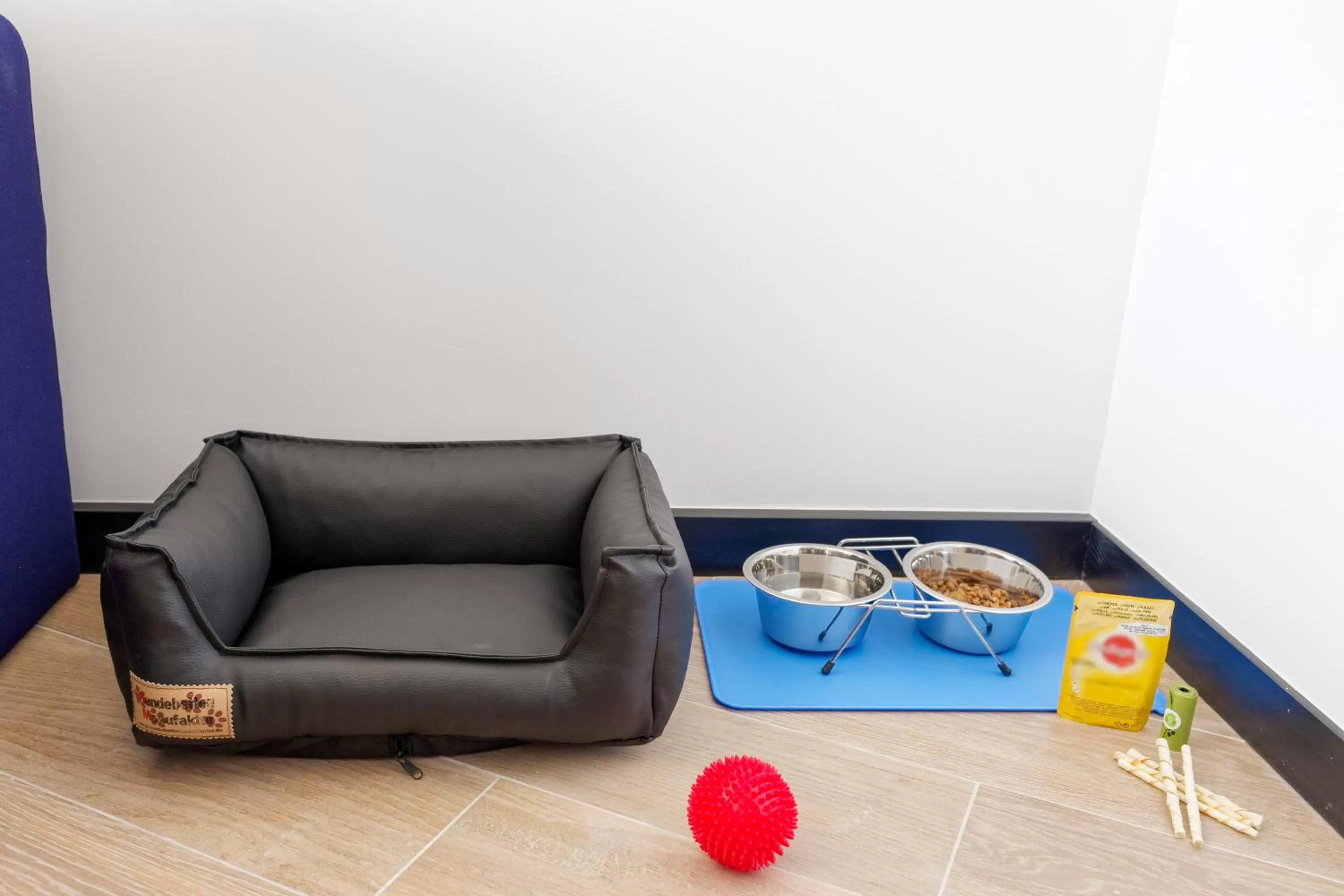 Animals in Golden Tulip CDG Airport Roissy