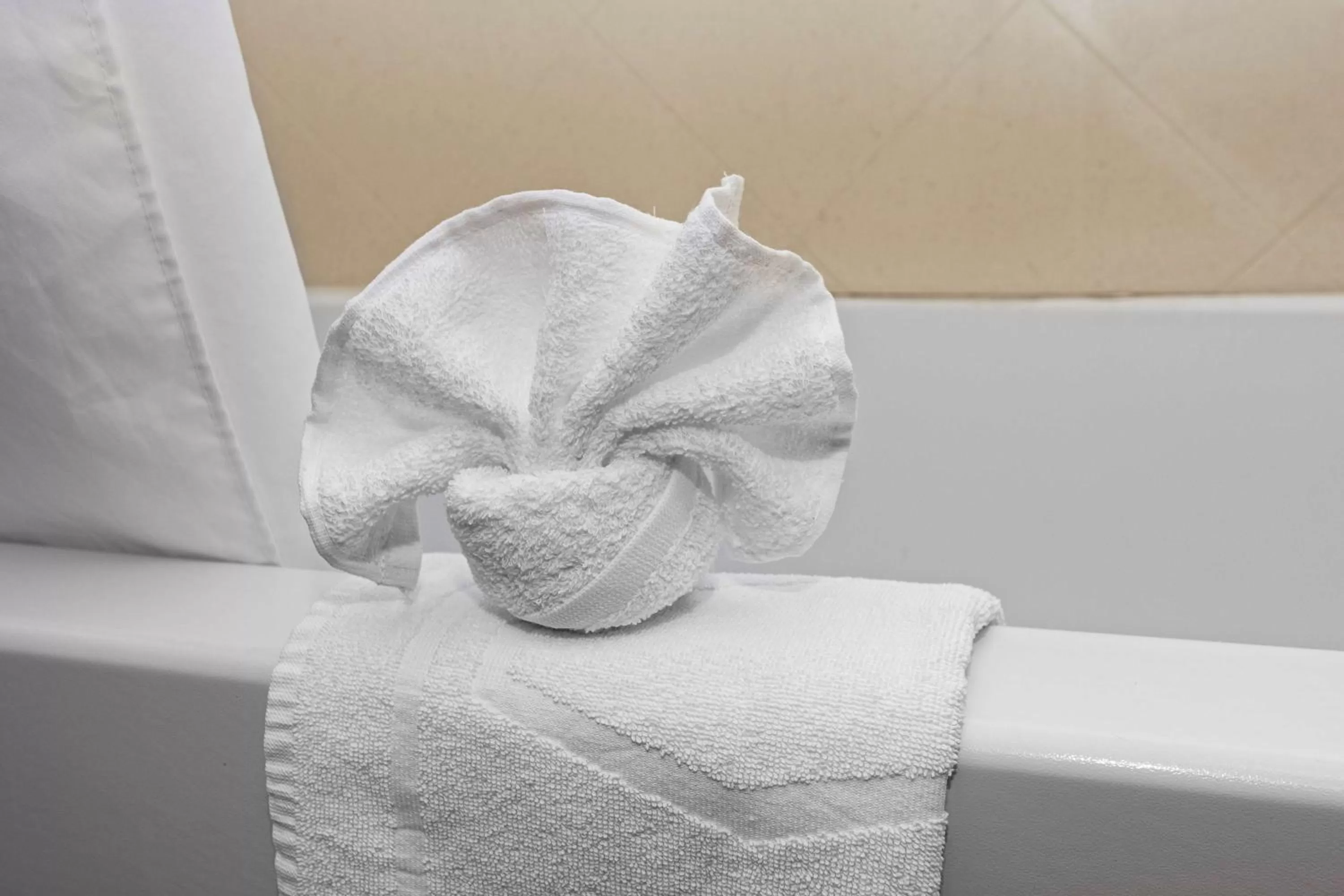 Bathroom in Hampton Inn Statesville