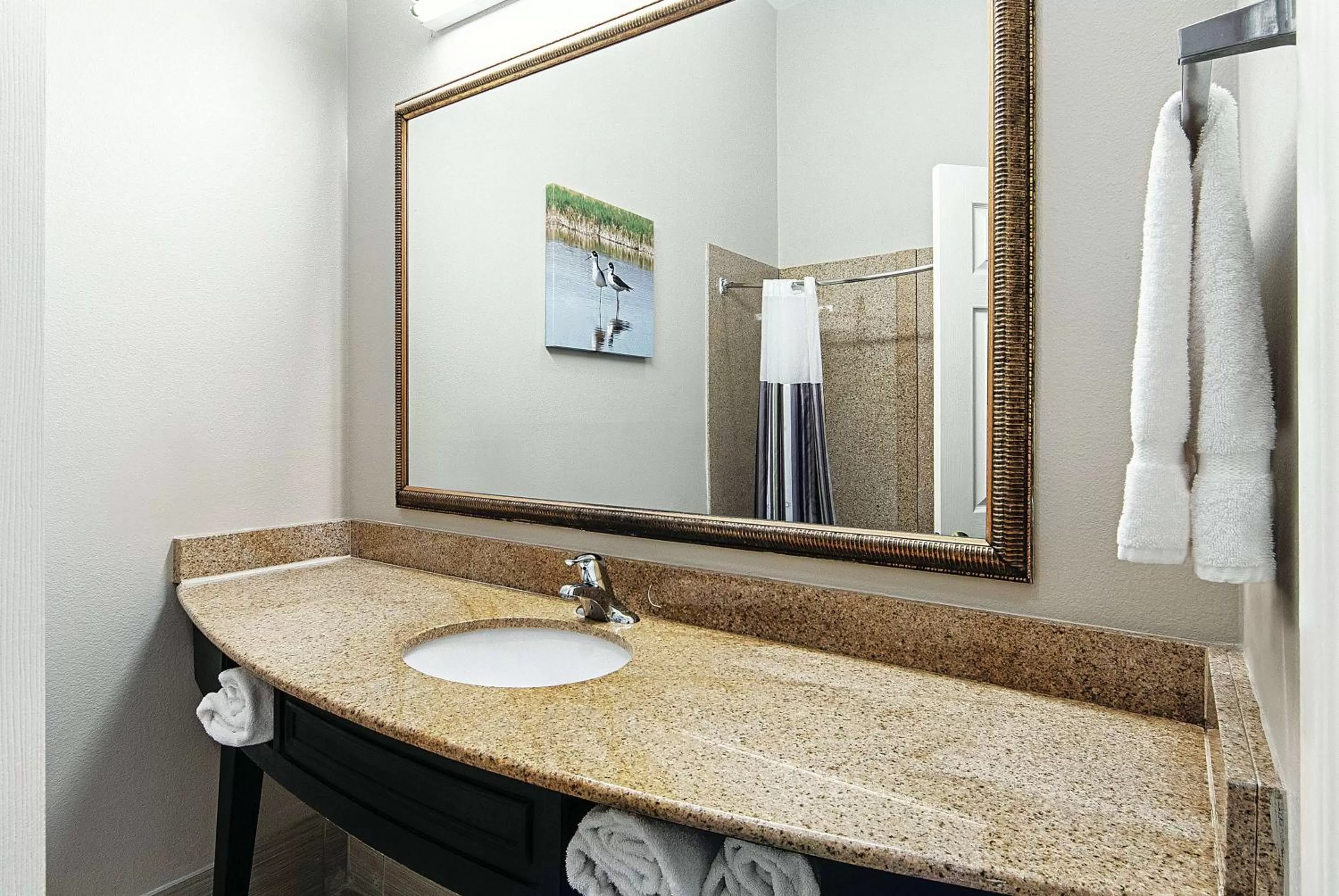 Bathroom in La Quinta by Wyndham Alamo-McAllen East