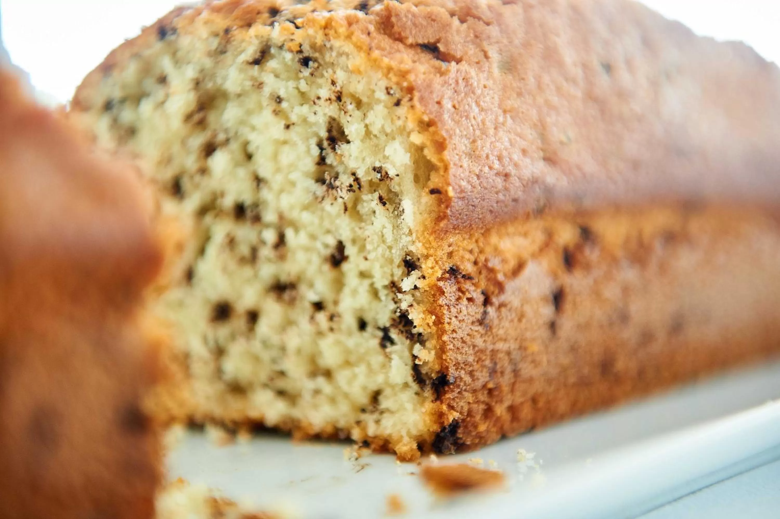 Food close-up in Hotel Corallo
