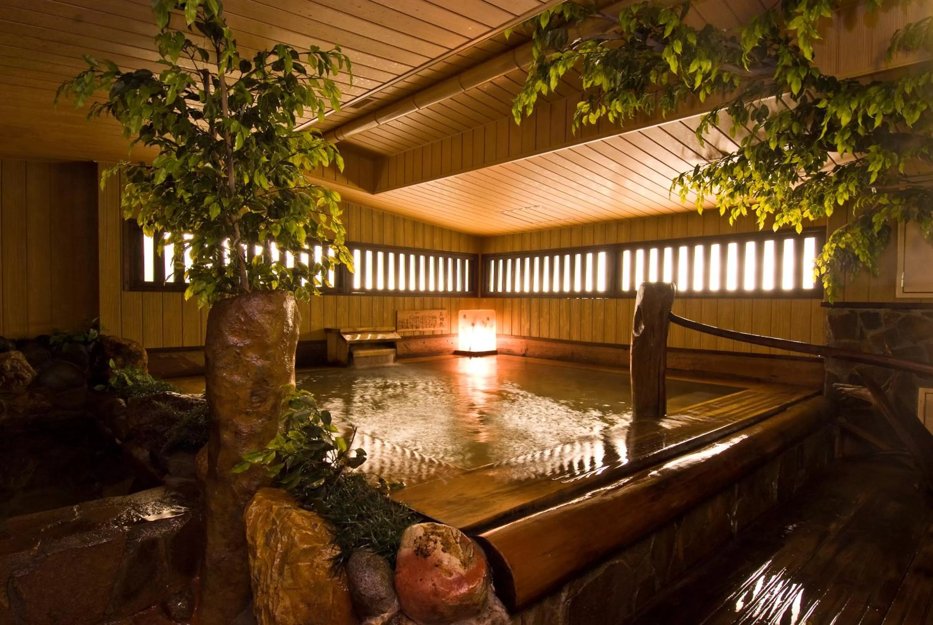 Public Bath in the b suidobashi