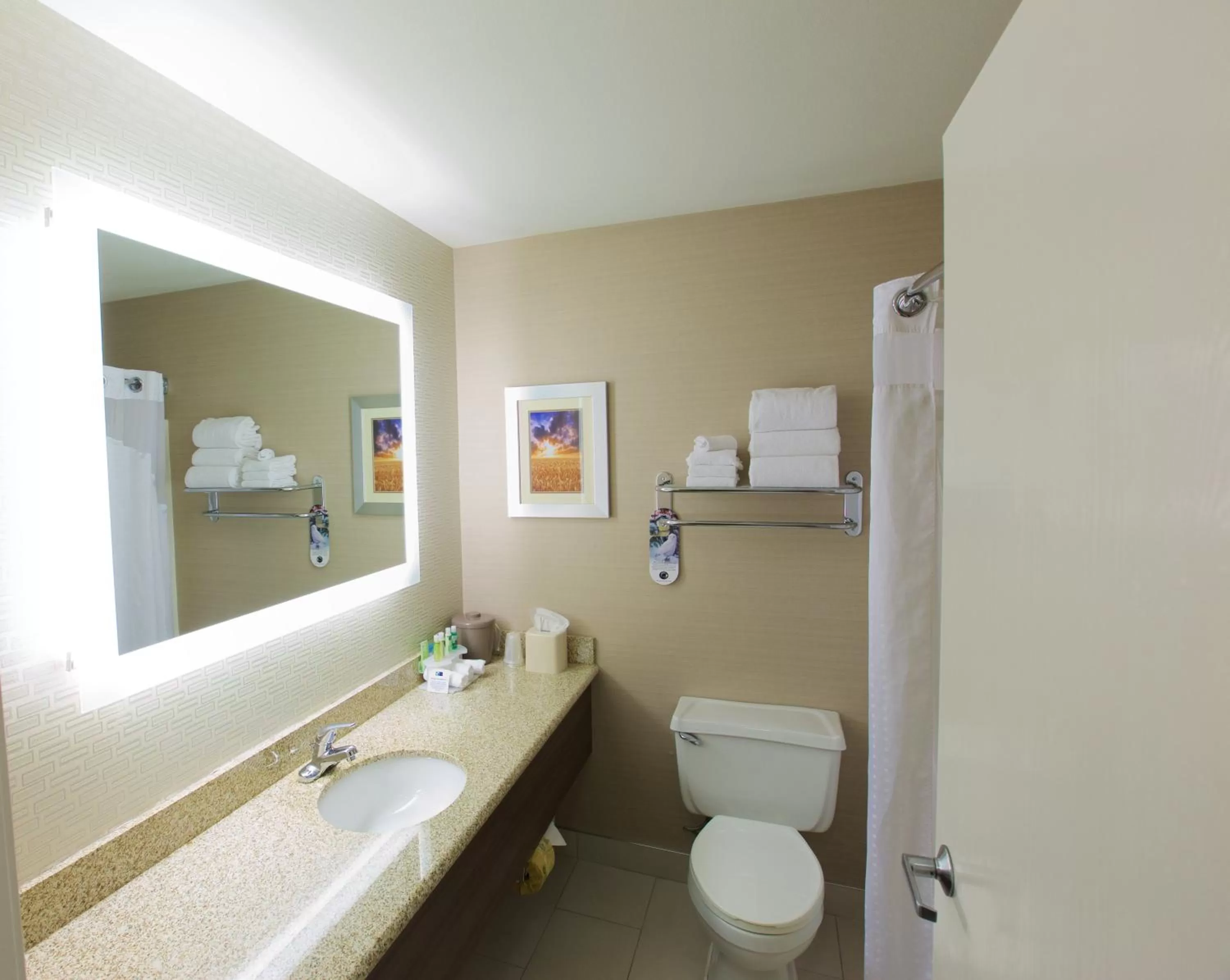 Bathroom in Holiday Inn Express Fargo - West Acres by IHG