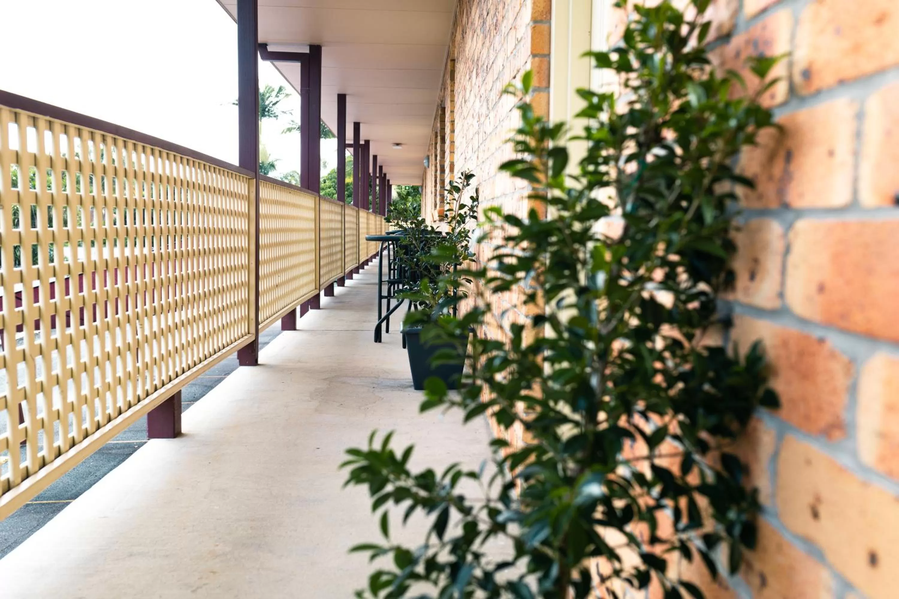 Kennedy Drive Boutique Motel - Close To City Centre & Airport