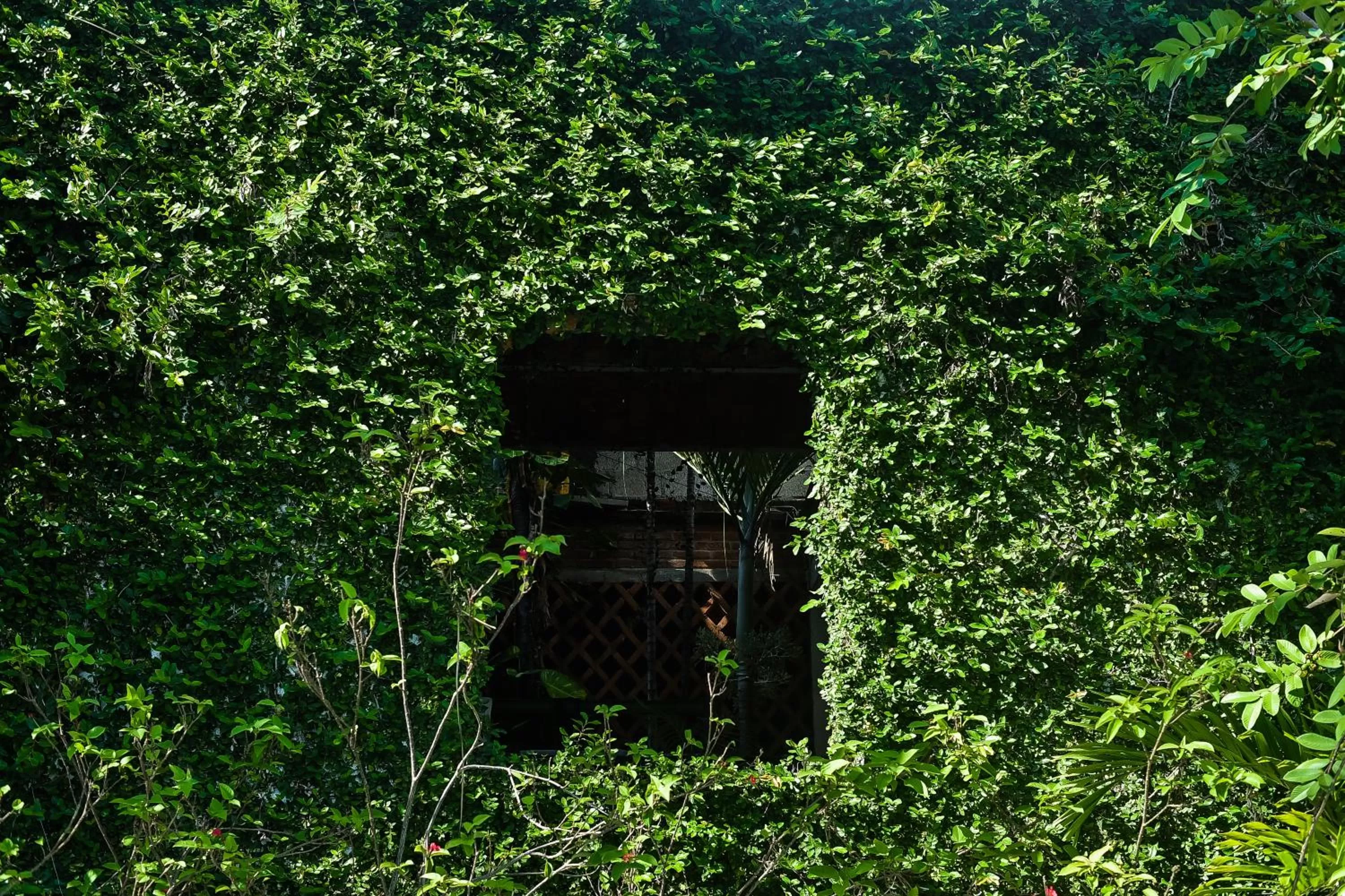 Hosteria Chata Adults Only