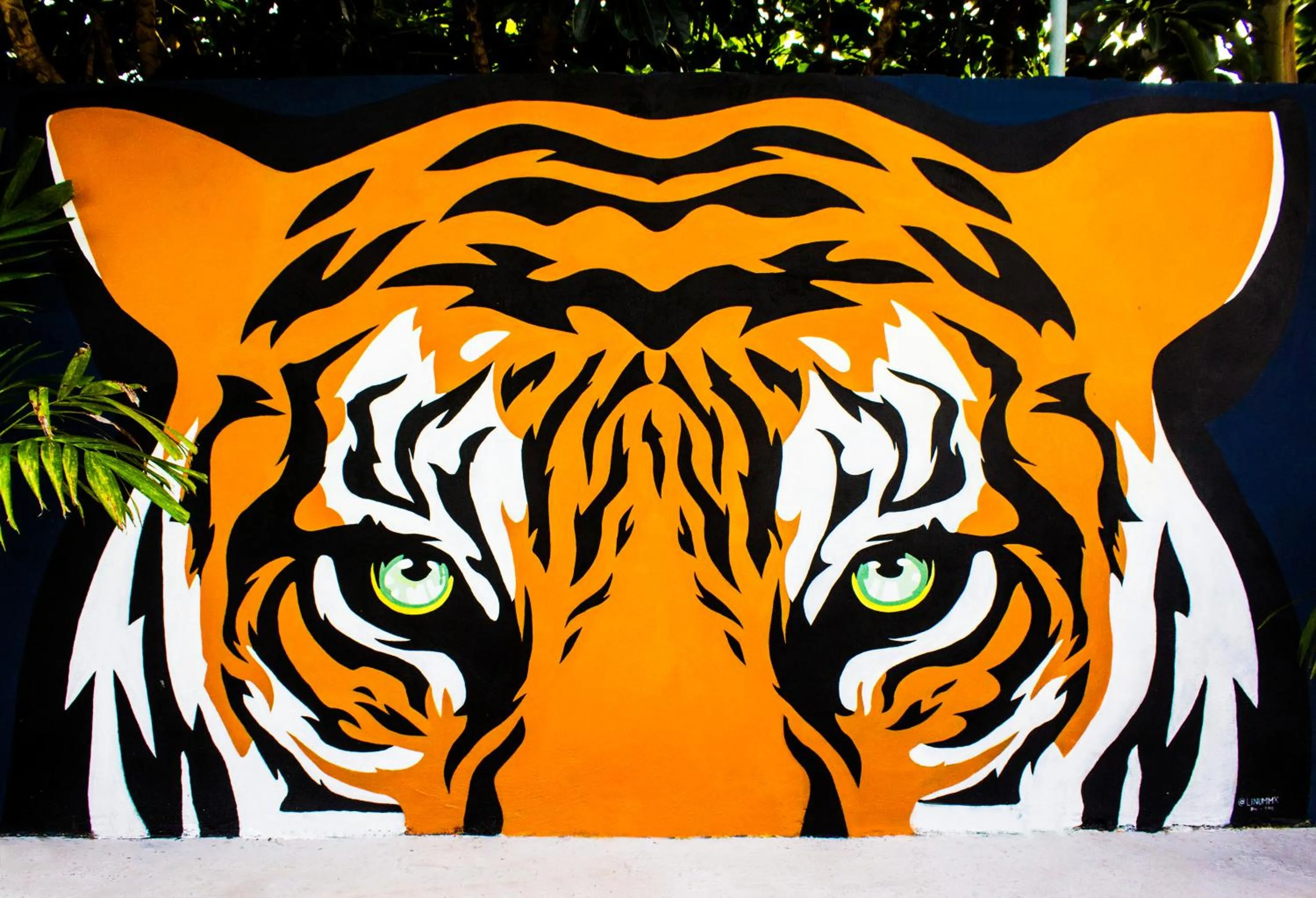 El Tigre de Santiago