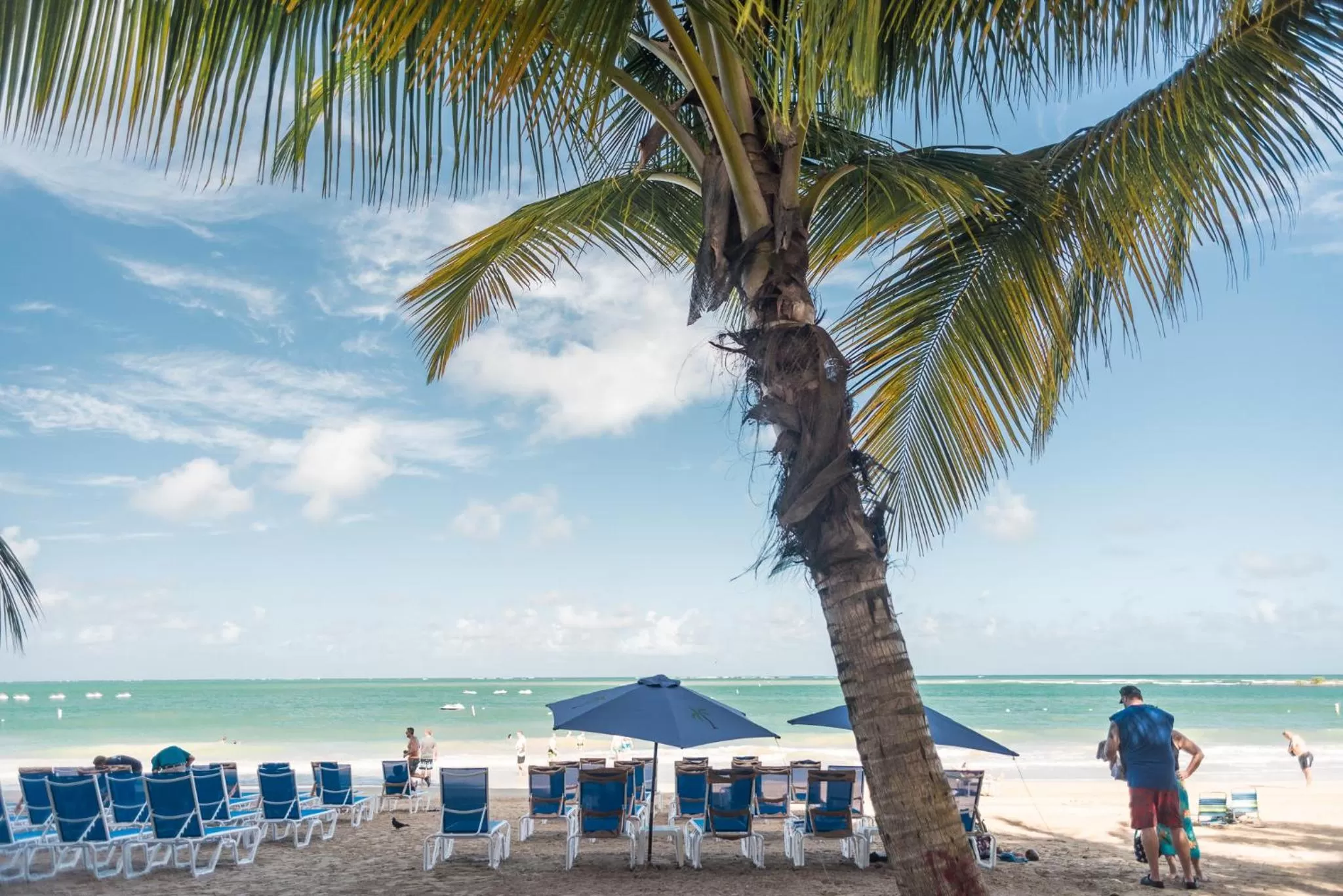 Beach in OCEAN VIEW DELUXE SUITE: PVT. BEACH & POOL