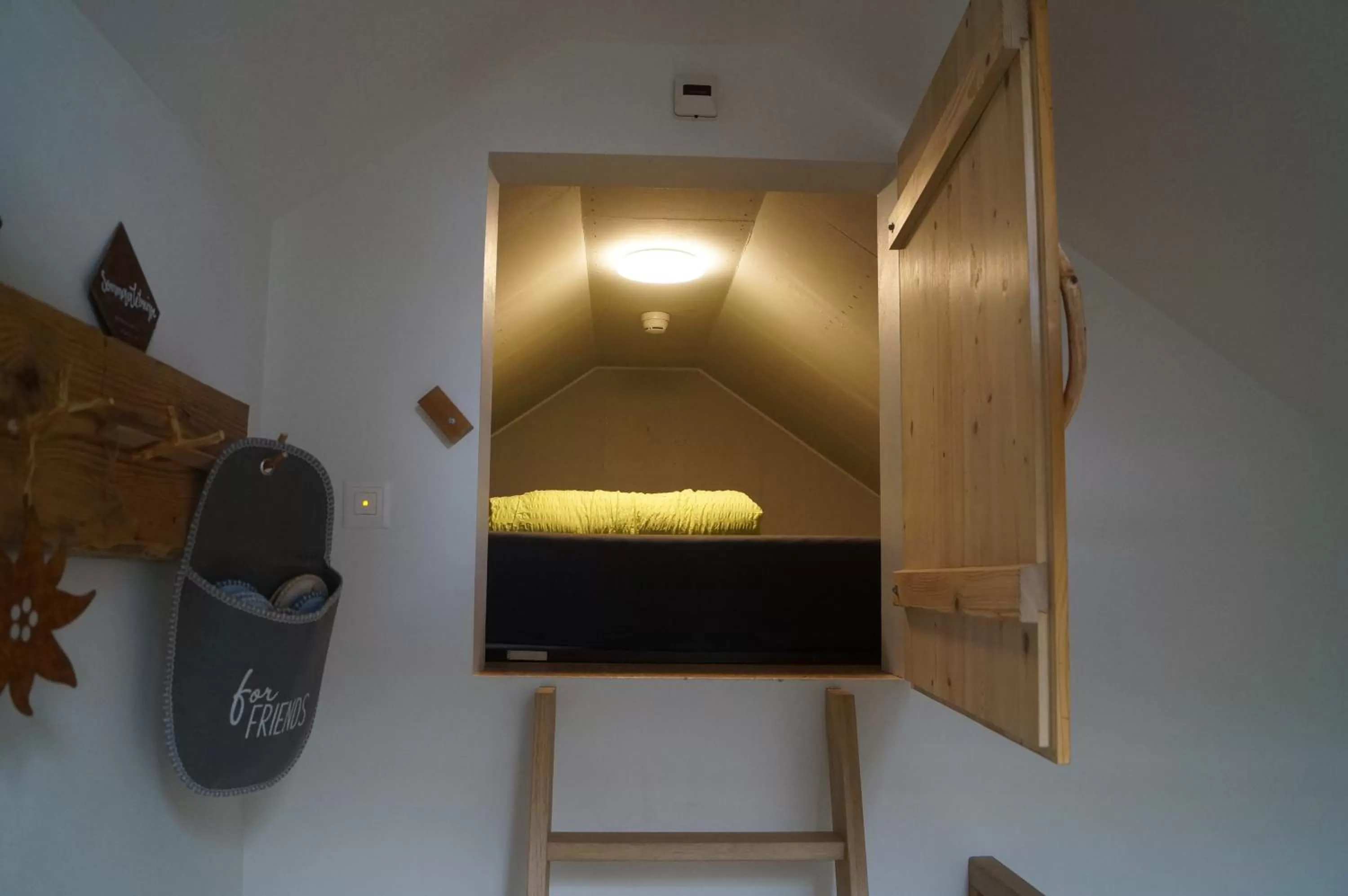 TV/Entertainment Center in Gästehaus Aemisegg