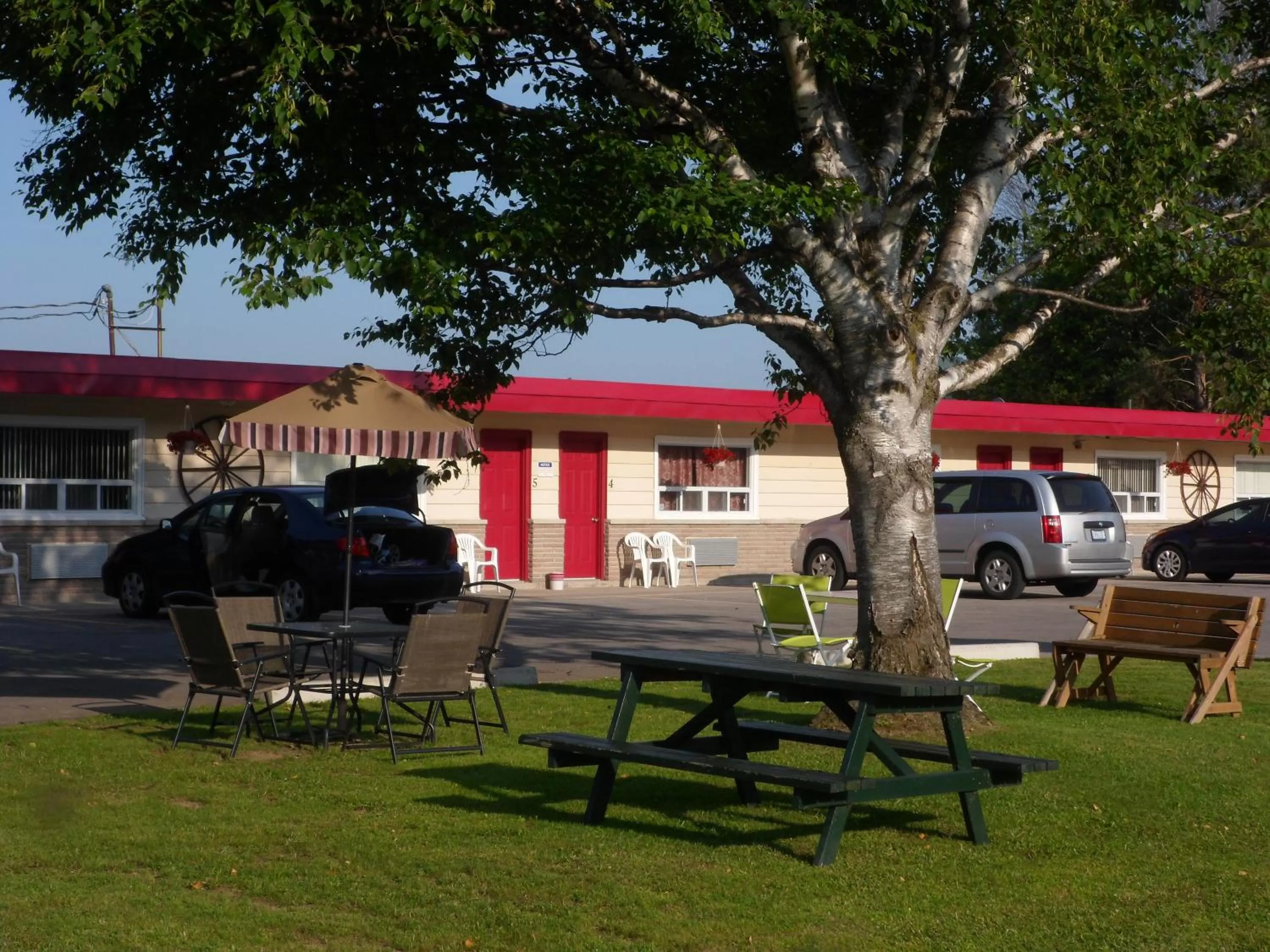 Decorative detail in The Silver Birch Motel