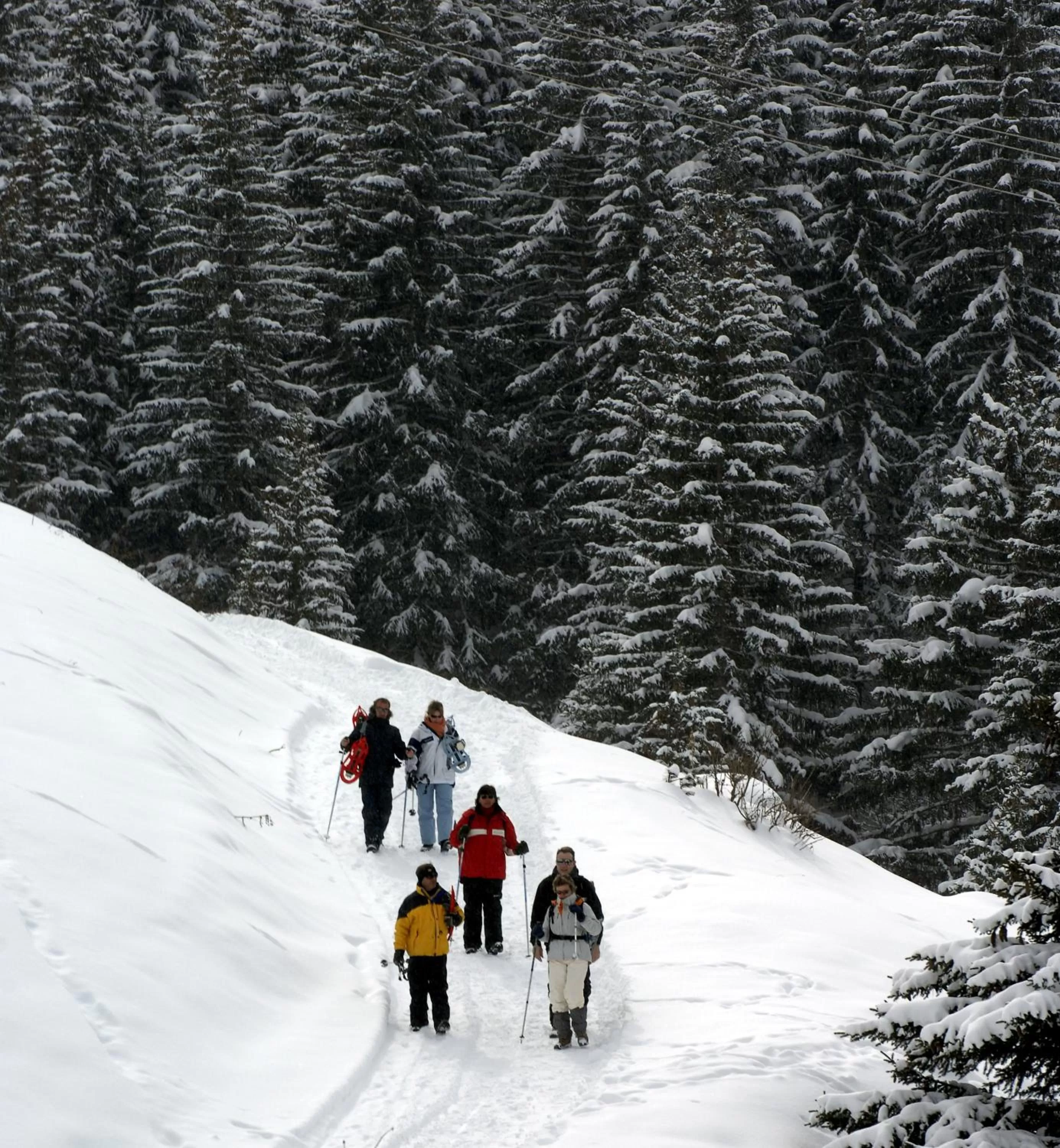 People, Skiing in Hotel Le Tremplin