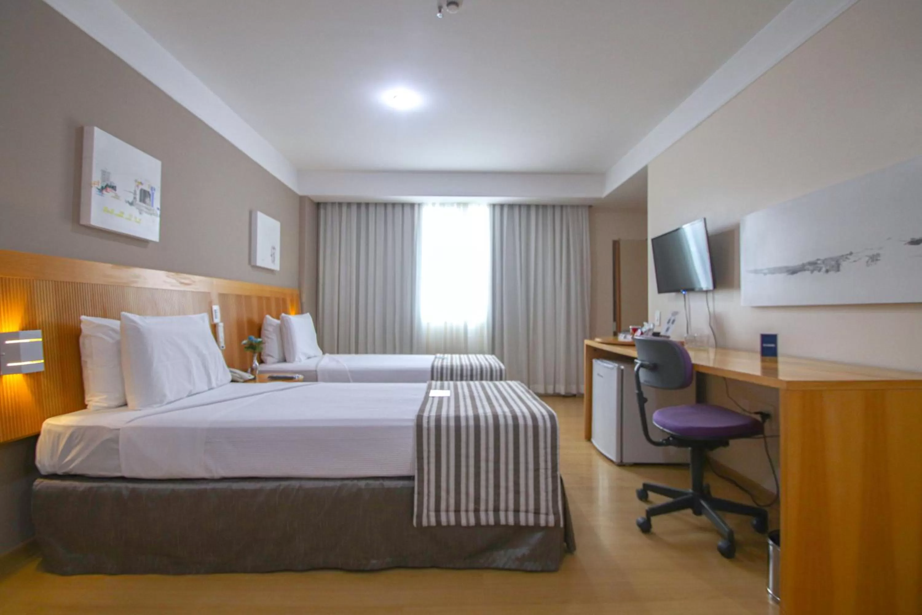 Standard Double Room in Belo Horizonte Plaza