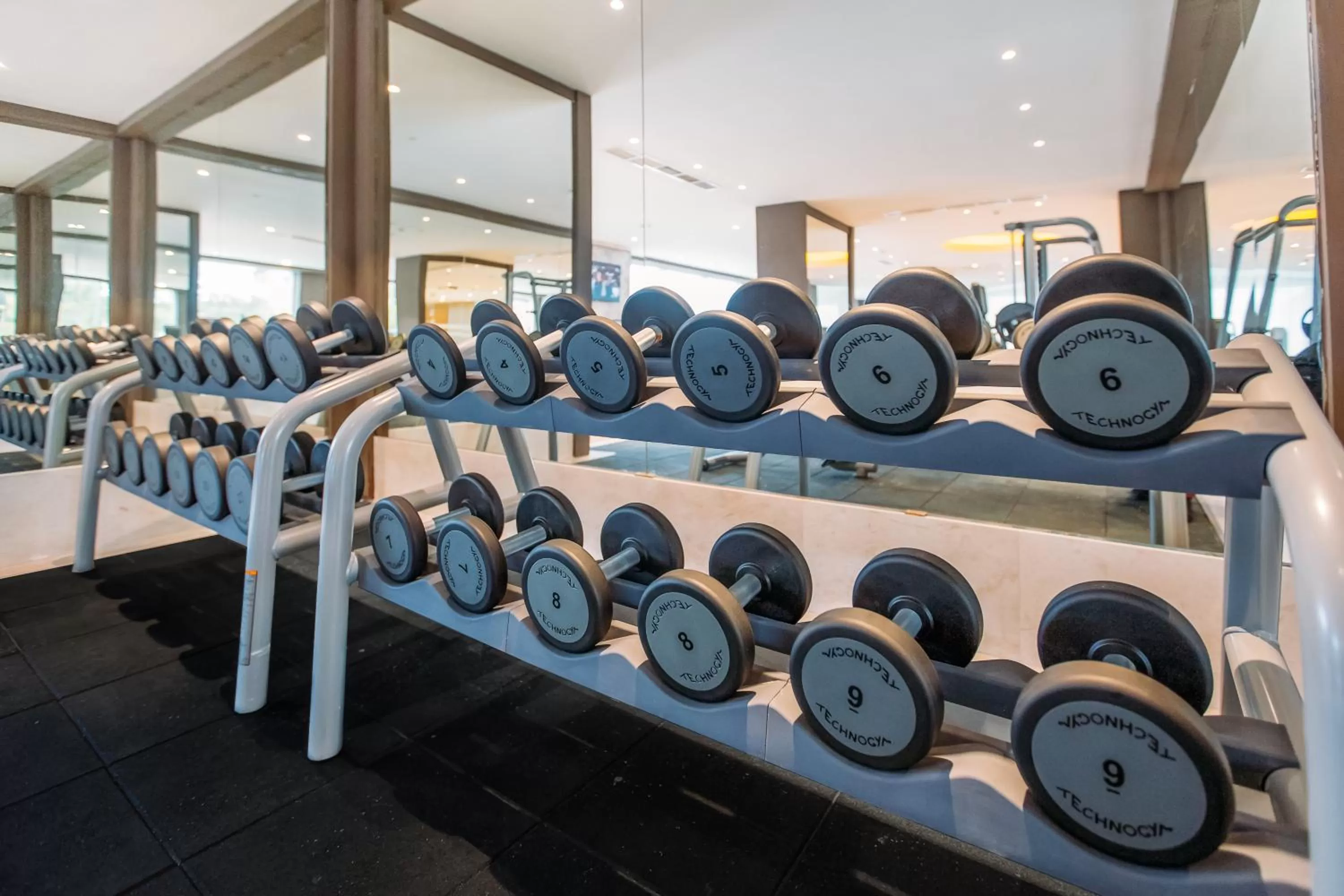 Fitness centre/facilities in The Biltmore Tbilisi Hotel