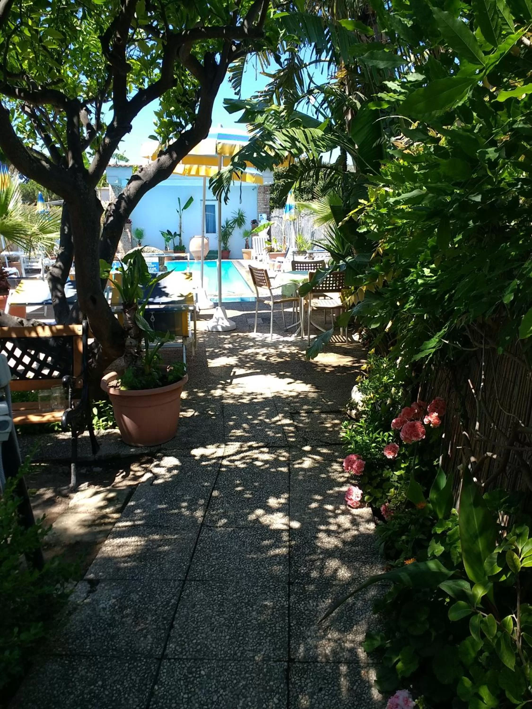 Swimming pool in Hotel Casa Nicola