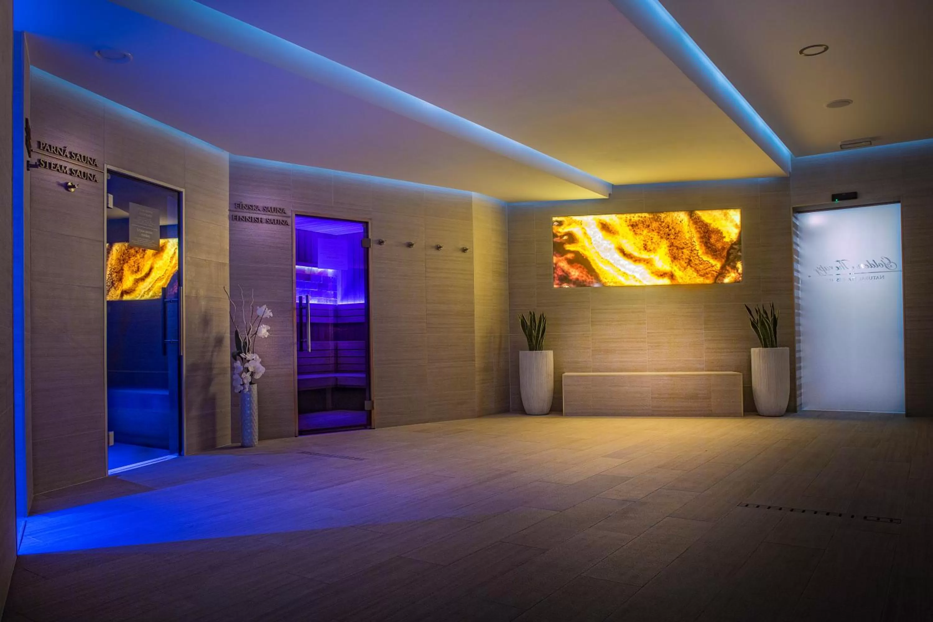 Sauna in Villa Plaza Boutique Hotel & Spa