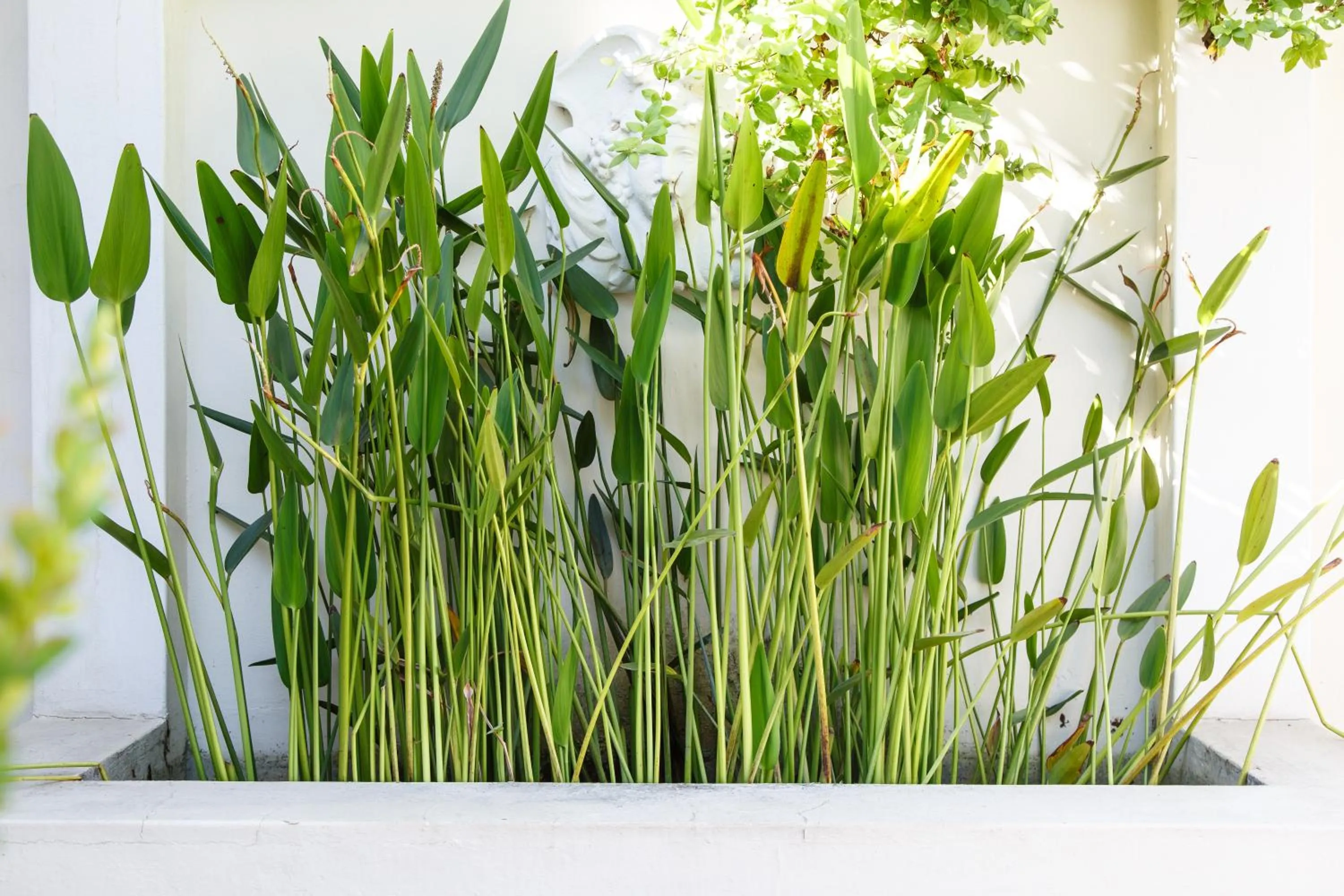 Patio in Rosenhof Boutique Hotel