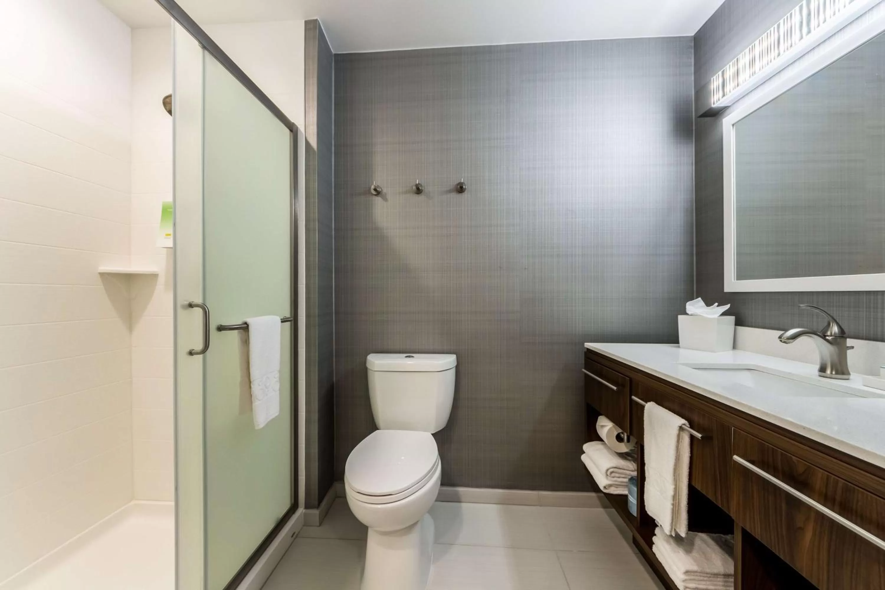 Bathroom in Home2 Suites By Hilton Fort Worth Northlake