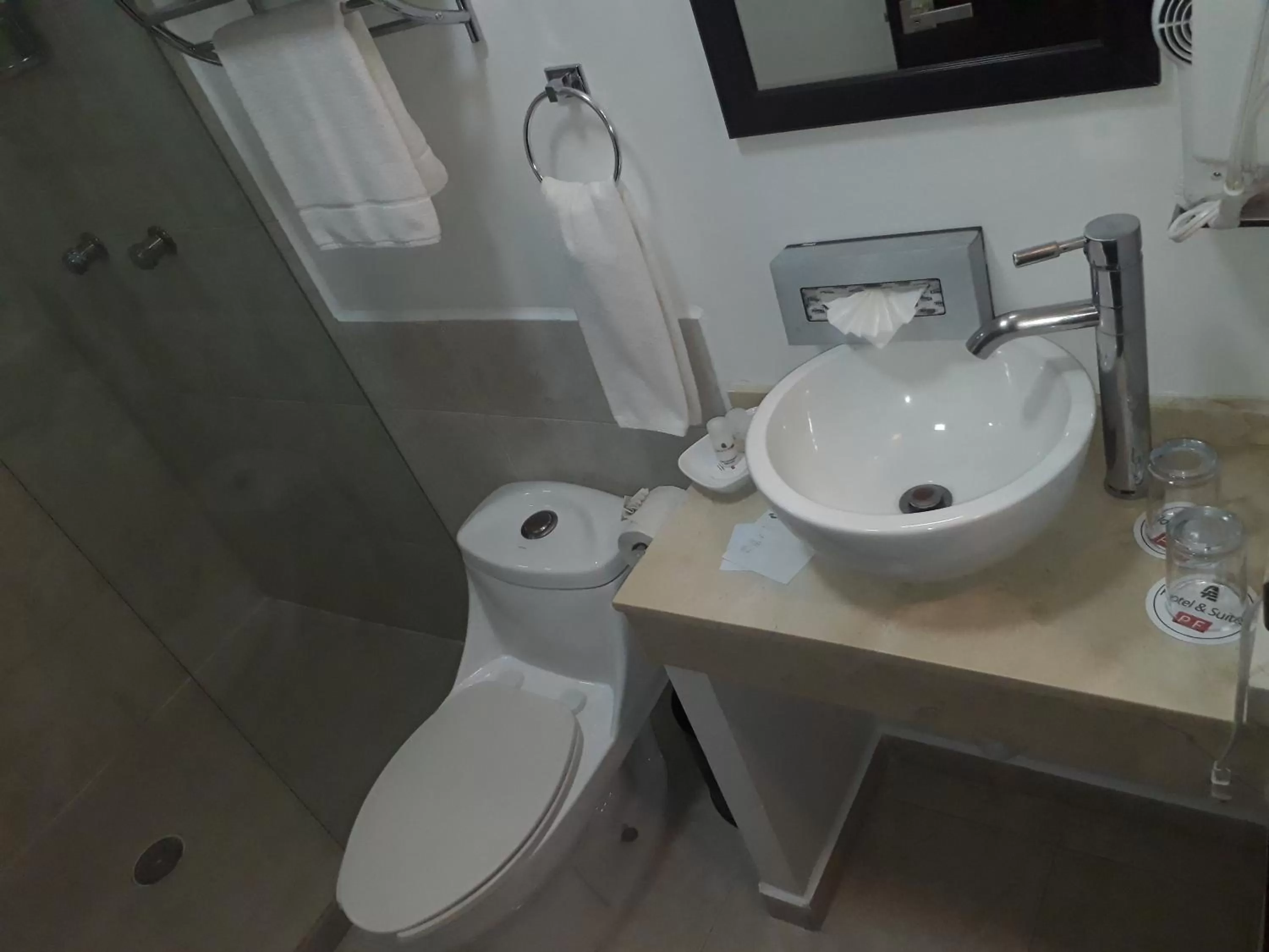 Toilet in Hotel & Suites PF