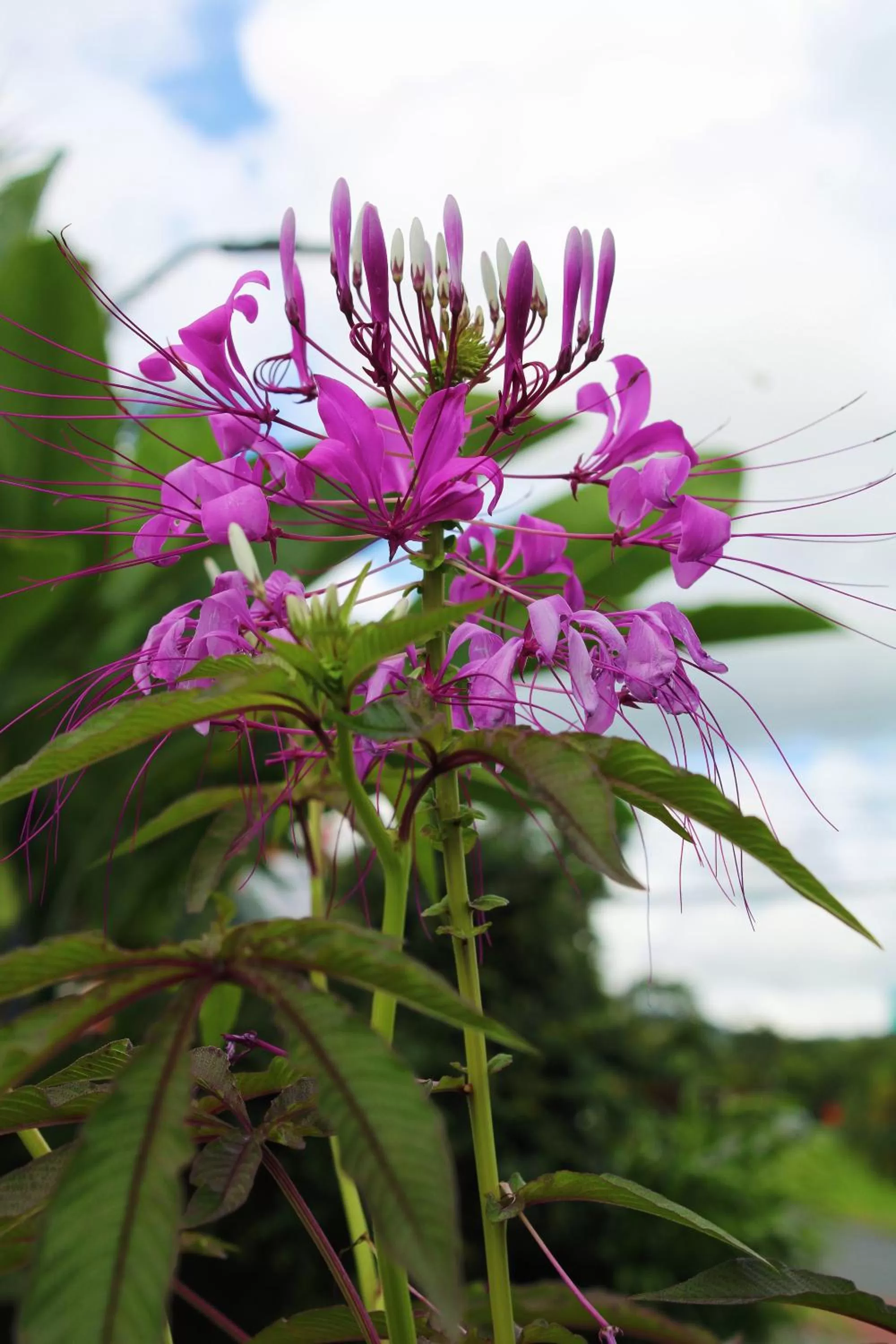 Property building in Hotel Arte Natura