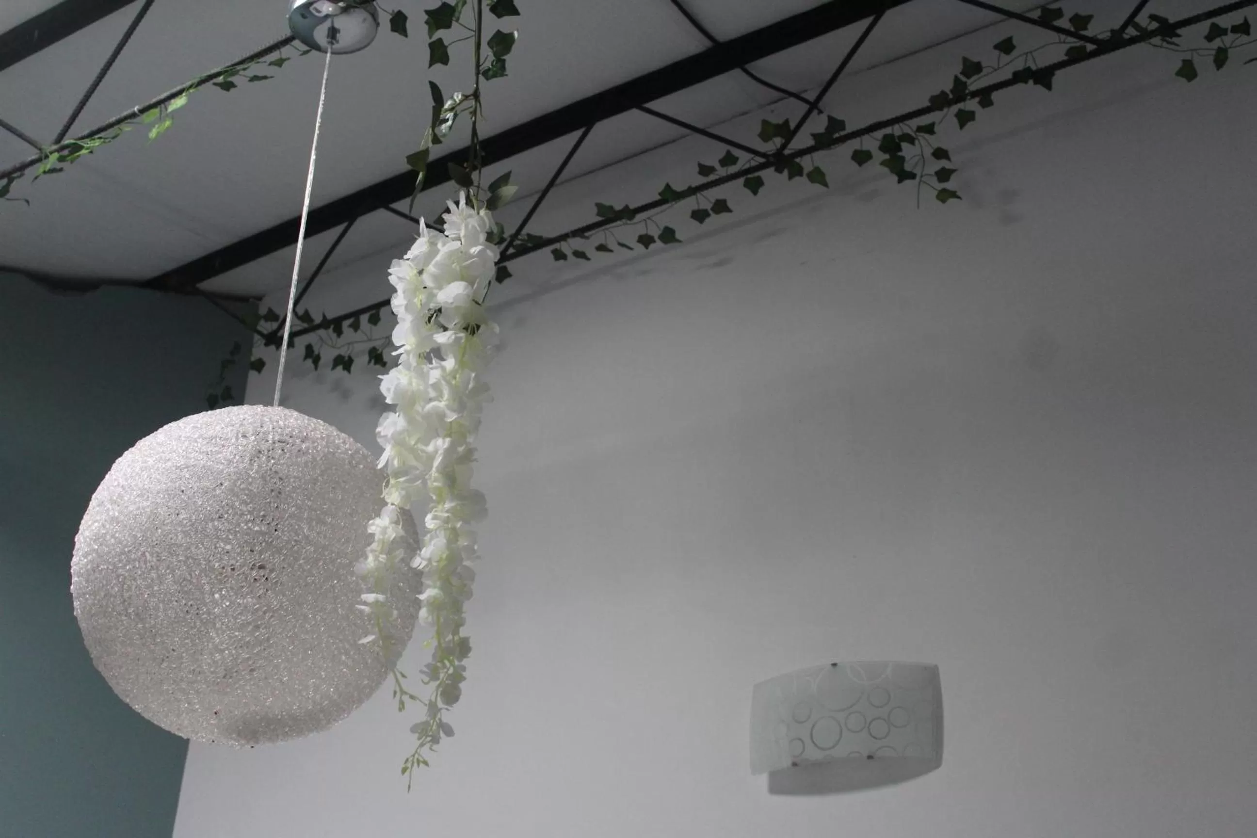 Cando Living Apartments in Central Avenue