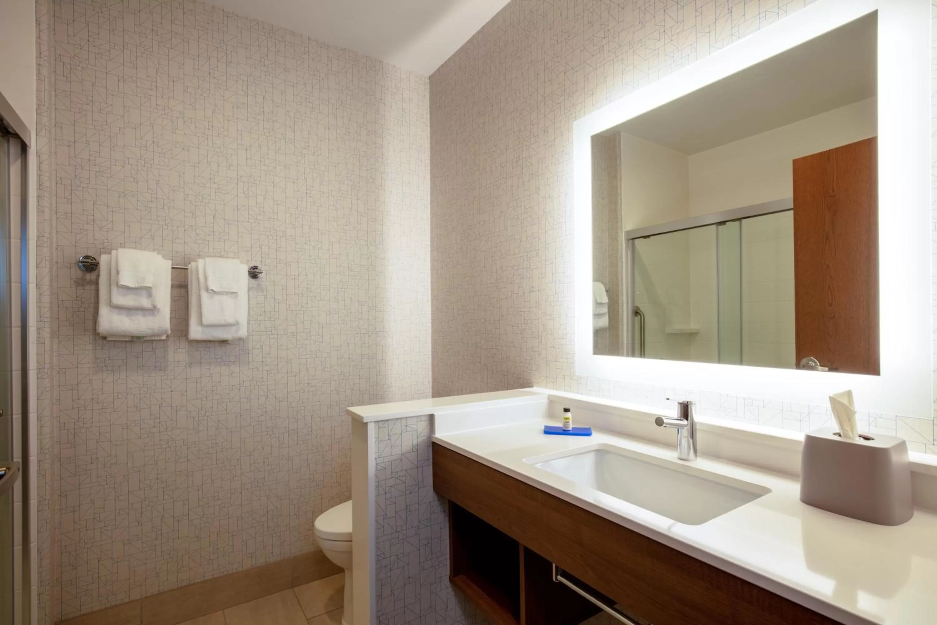 King Room Regular - Non-Smoking in Holiday Inn Express & Suites - Beloit, an IHG Hotel