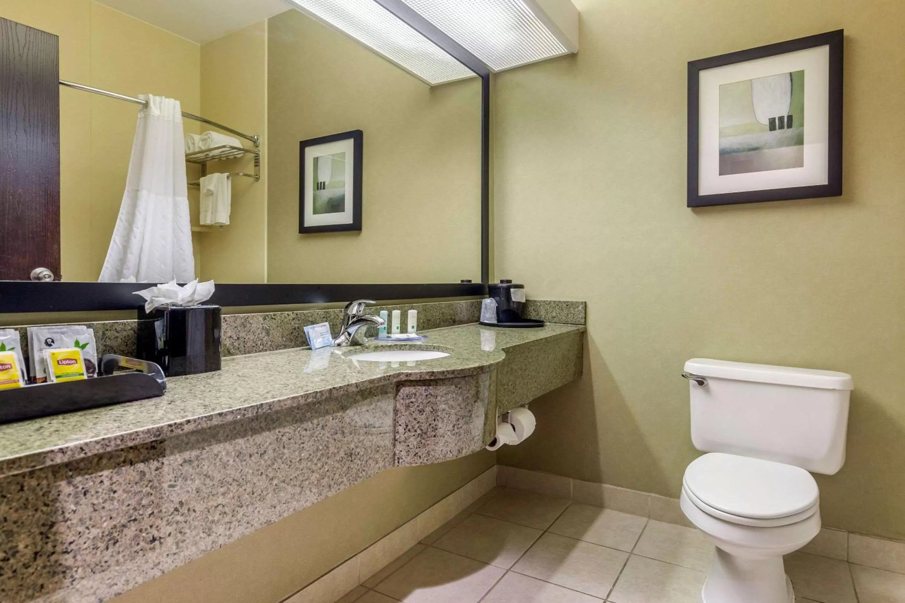 Bathroom in Quality Inn & Suites Durant