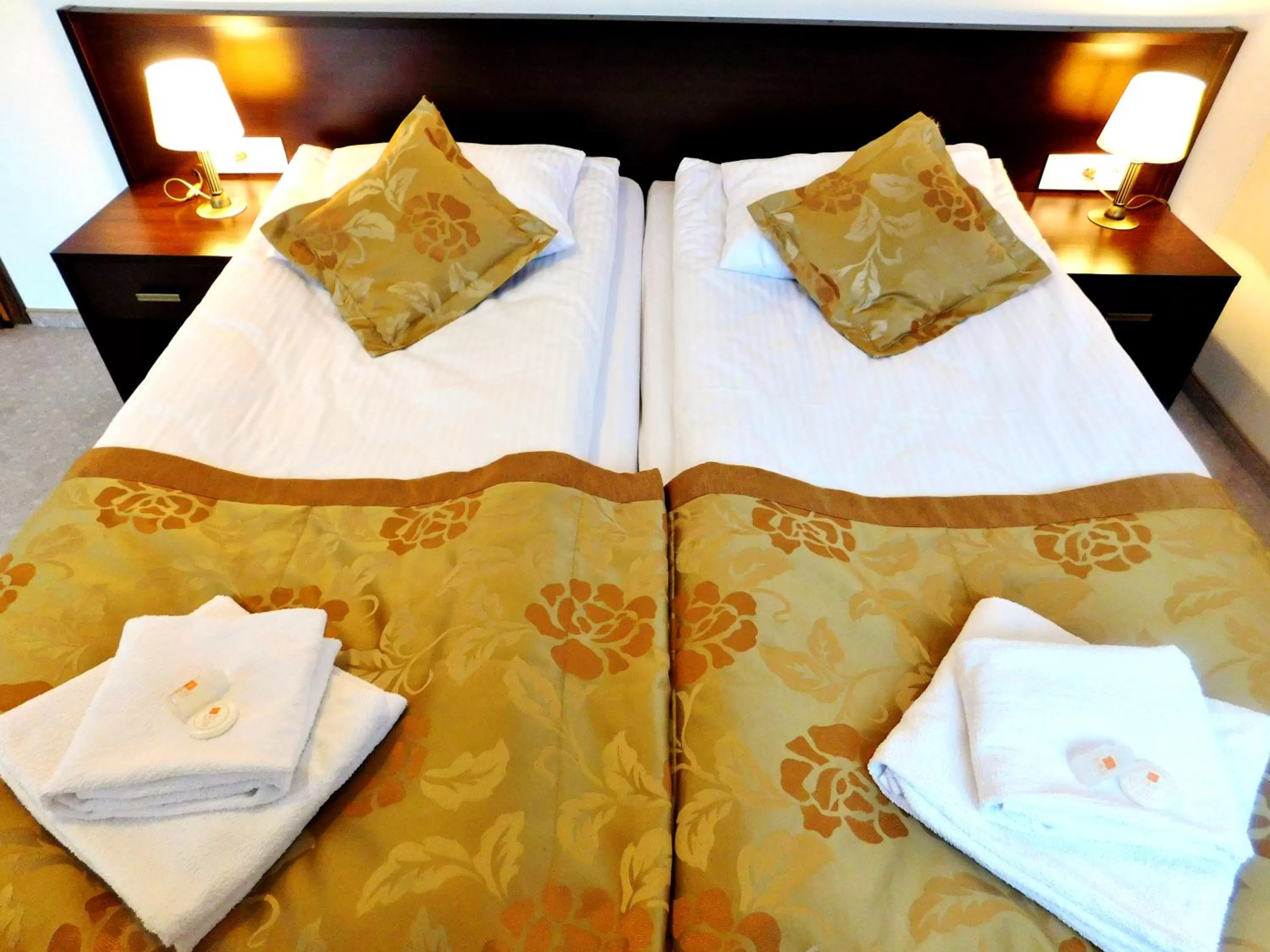 Bed in Hotel Świętoborzec