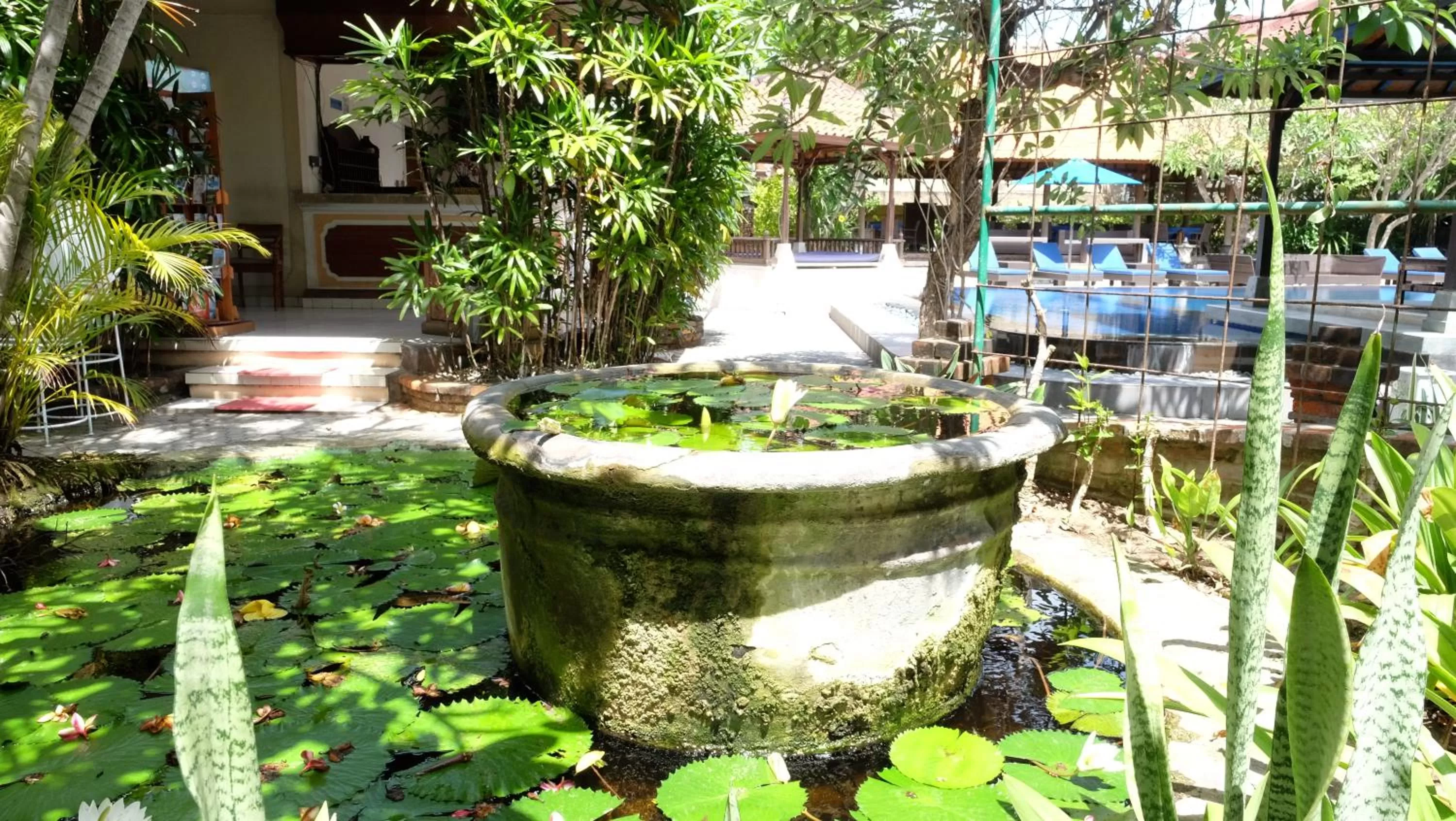 Garden view in Fat Yogi Cottages