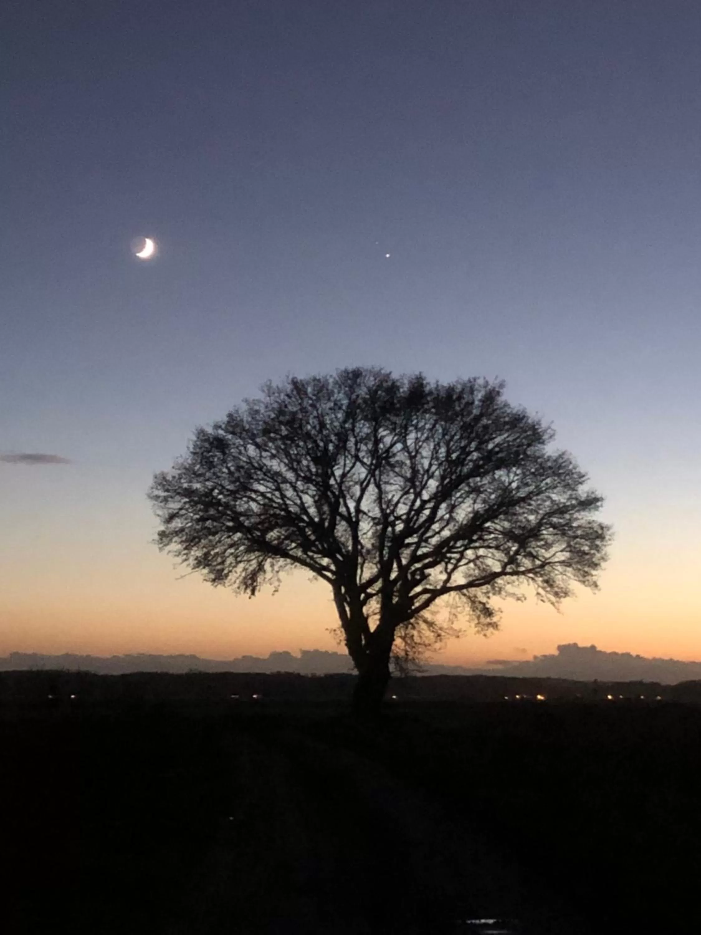 La plaine de l'Angelus